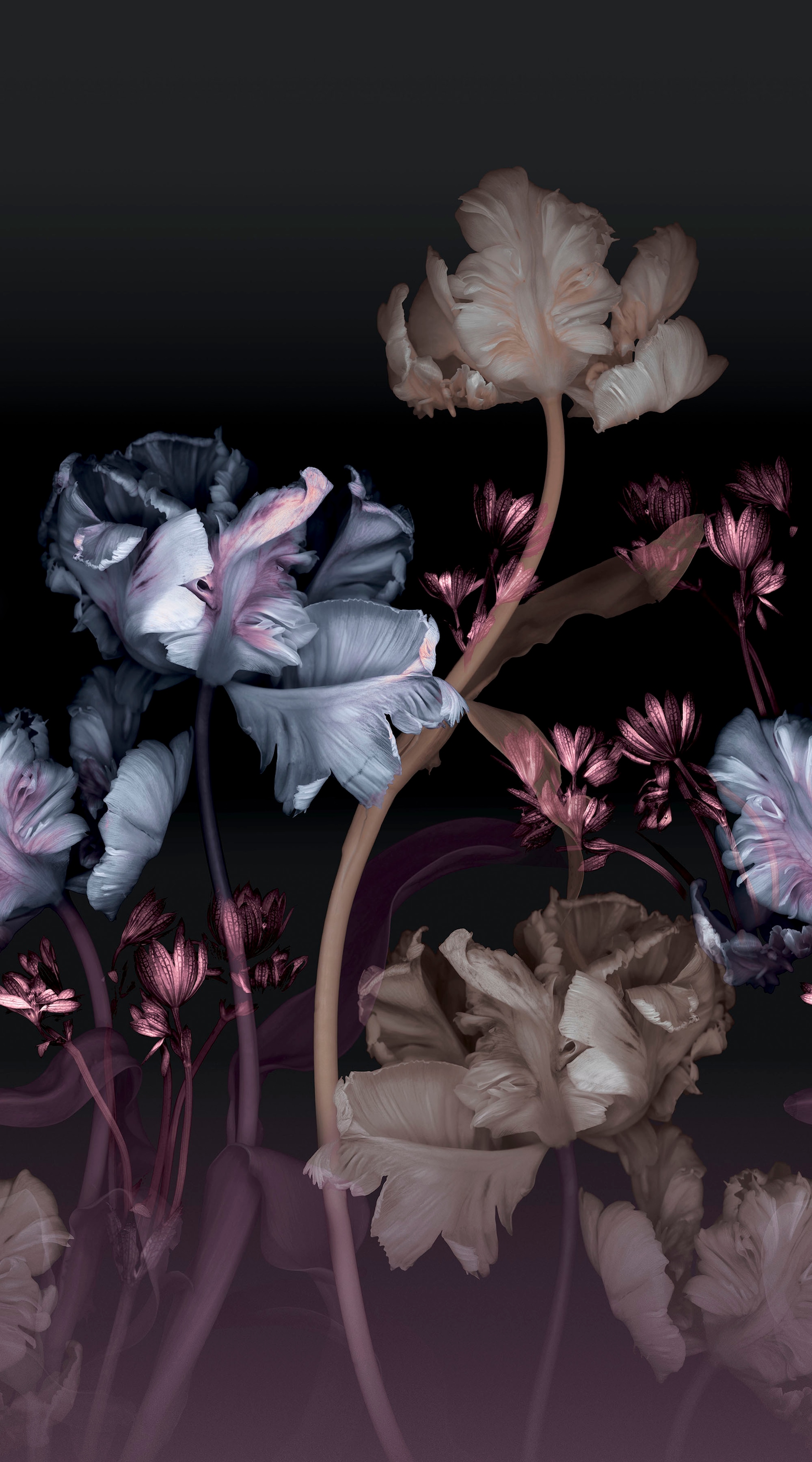 Fashion for walls Papier peint photo »Vanda« Phthalate frei