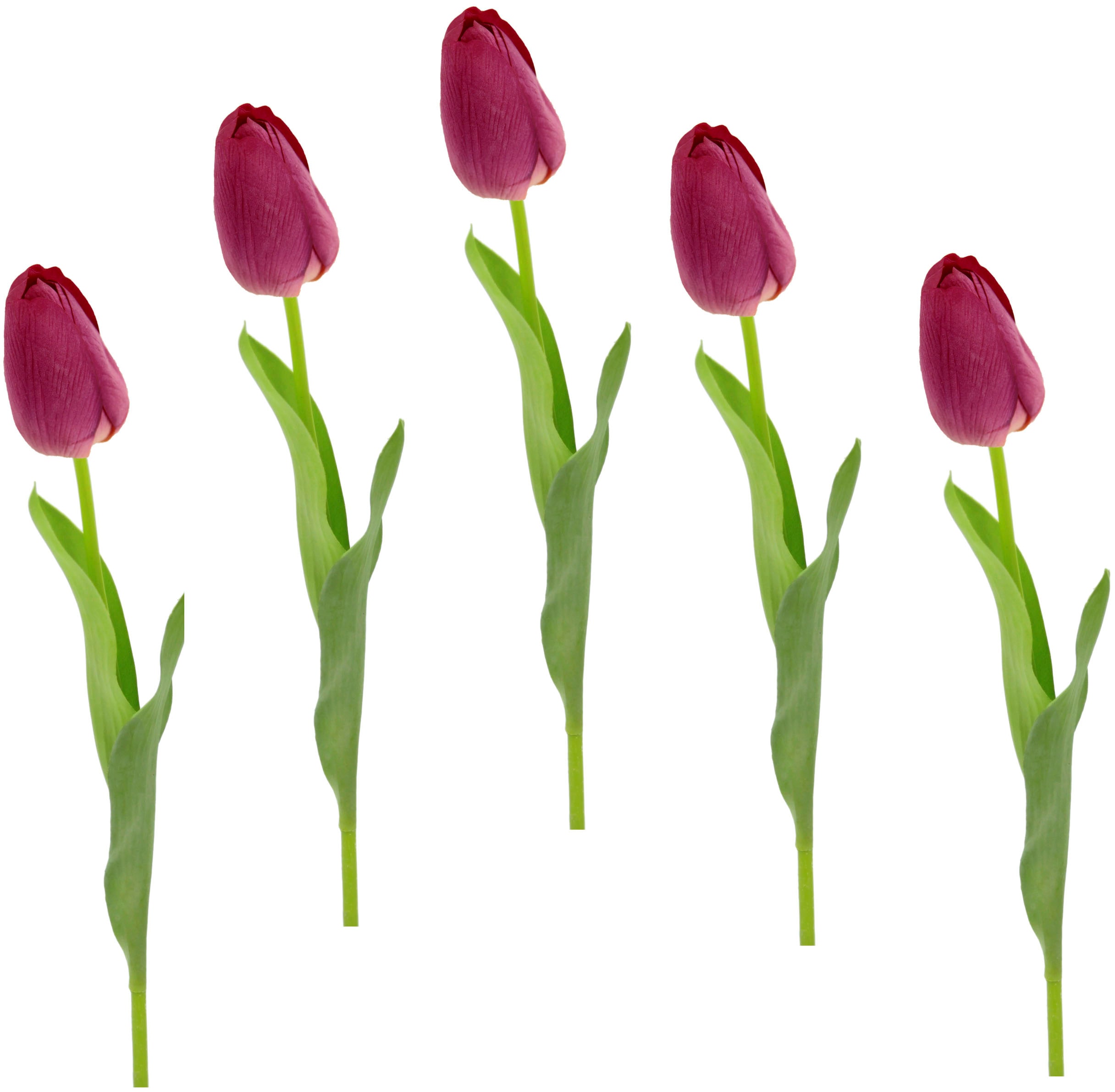 I.GE.A. Kunstblume "Real Touch Tulpen" 5er Set künstliche Tulpenknospen, Kunstblumen, Stielblume