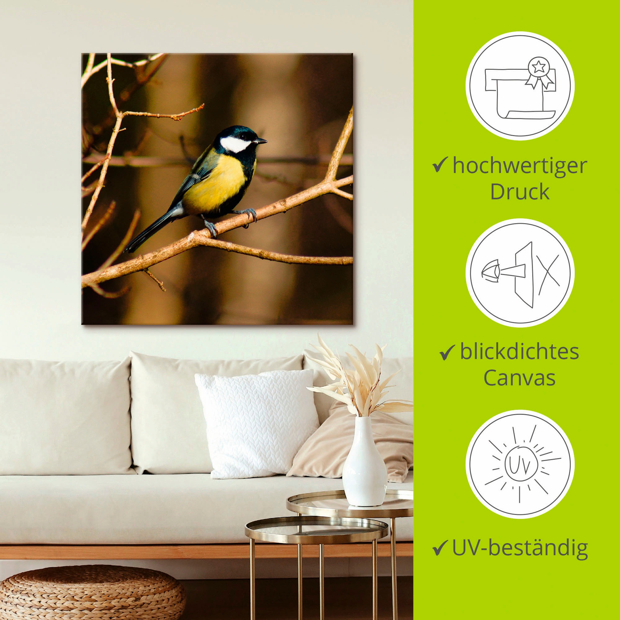 Artland Tableau sur toile »Kohlmeise im Wald« 1 cuis tlg. auf Holzrahmen gespannt