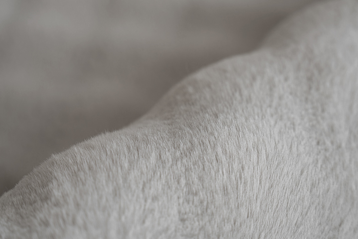 Padiro Teppich »Hailey 125« rechteckig 30 mm Höhe Softtouch