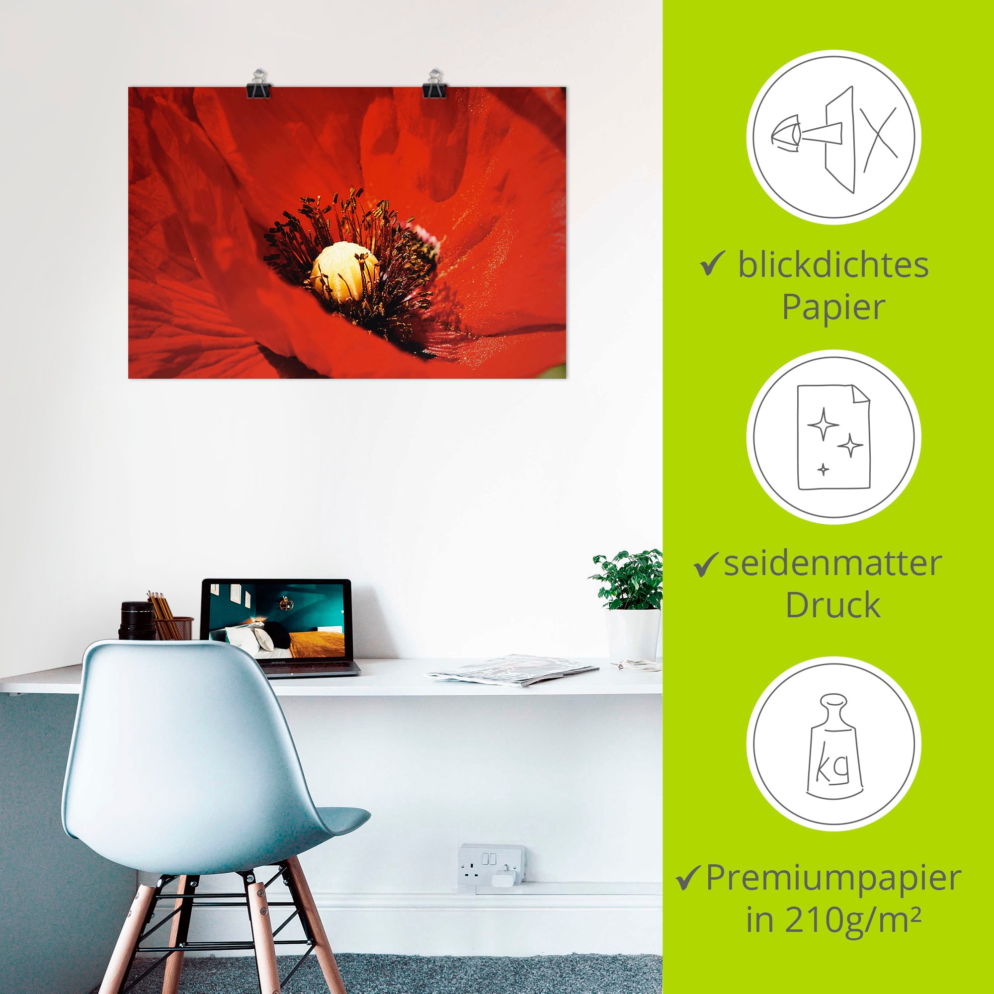 Artland Wandbild »Roter Mohn« Blumen 1 Stk. tlg. als Poster in verschied. Grössen