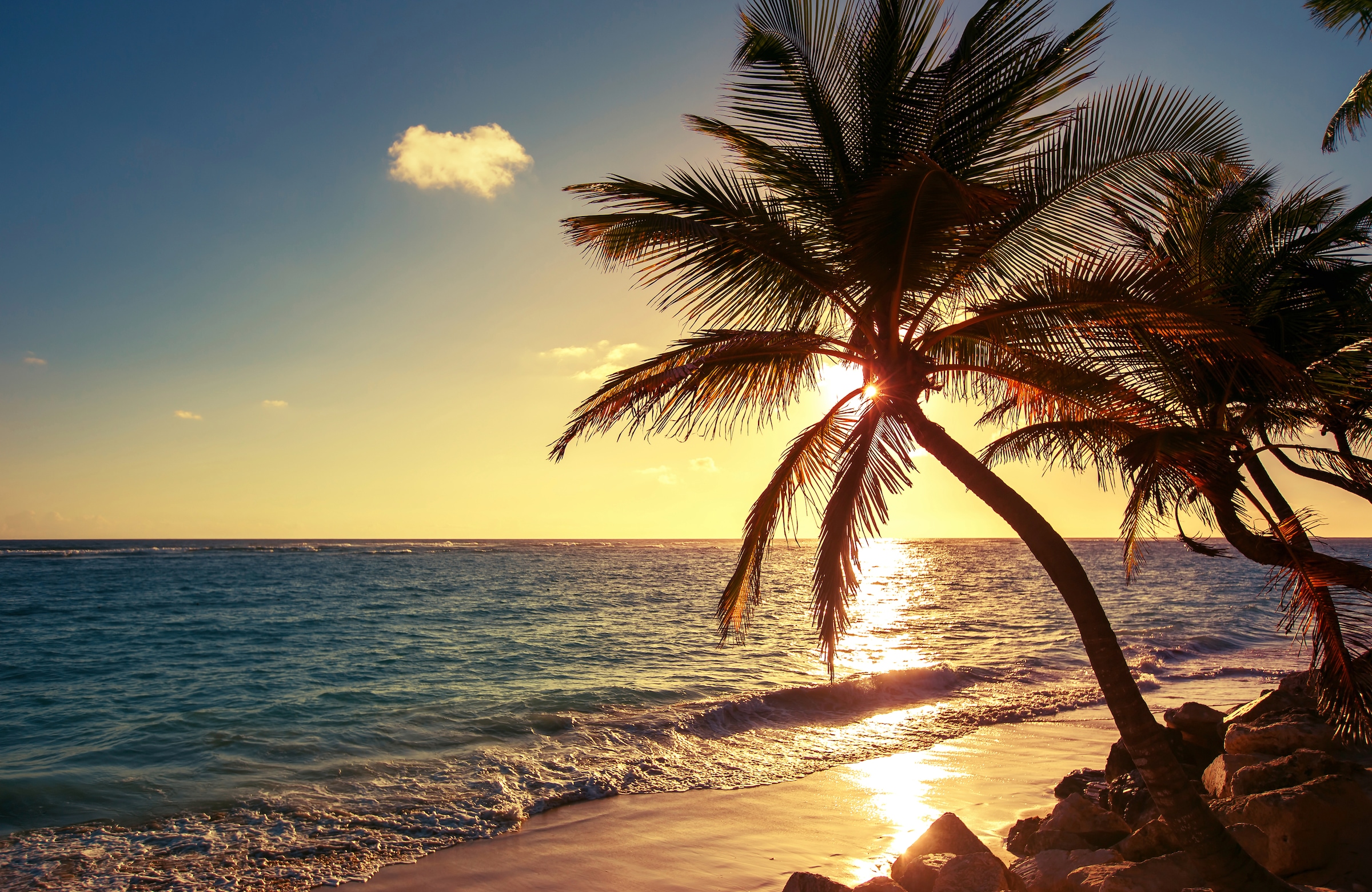 Image of Papermoon Fototapete "PALMEN-STRAND SONNENUNTERGANG NATUR MEER LANDSCHAFT XXL"