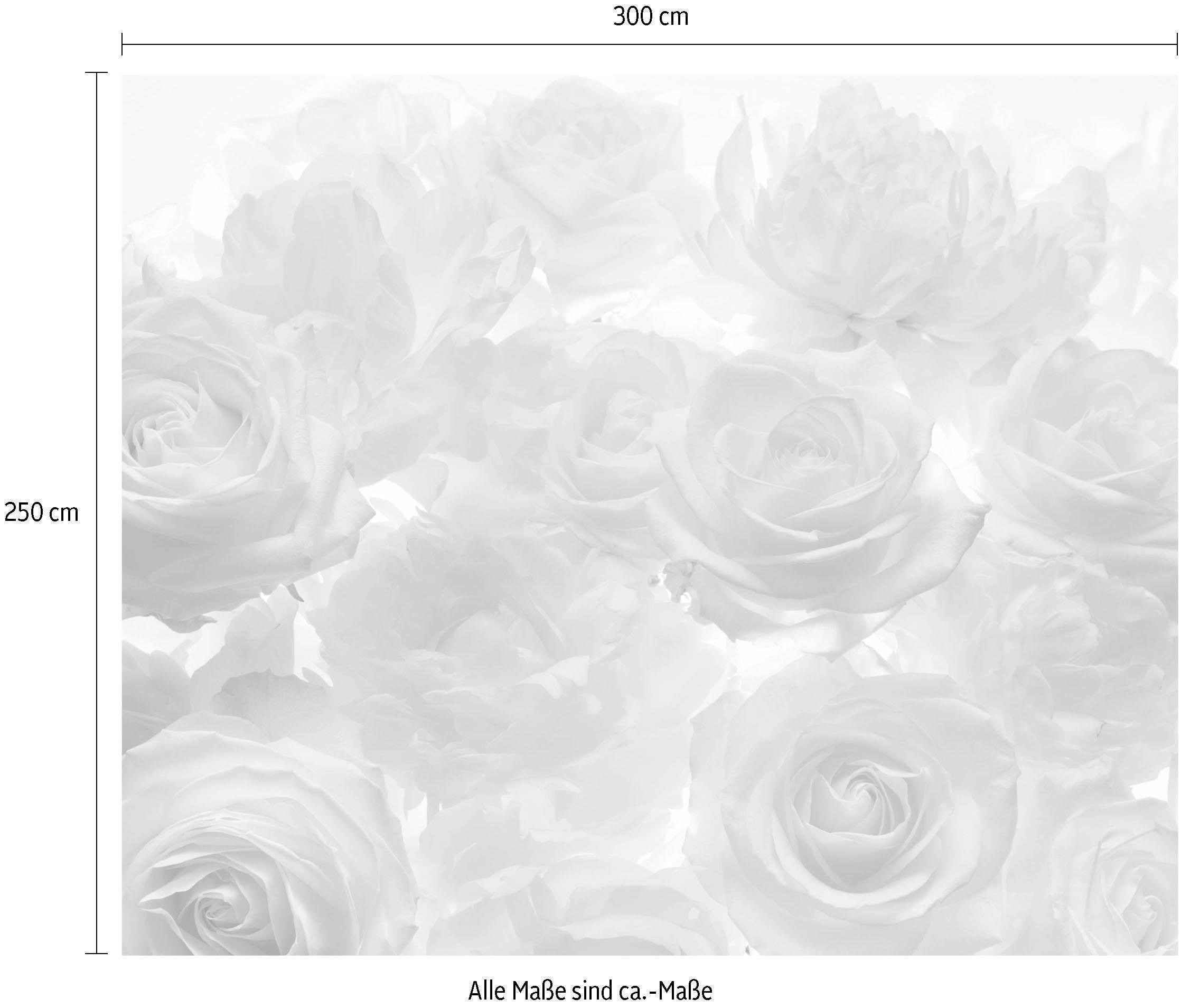 Komar Vliestapete »Digitaldruck Vlies - Shalimar - Grösse 300 x 250 cm«, bedruckt, Wohnzimmer, Schlafzimmer
