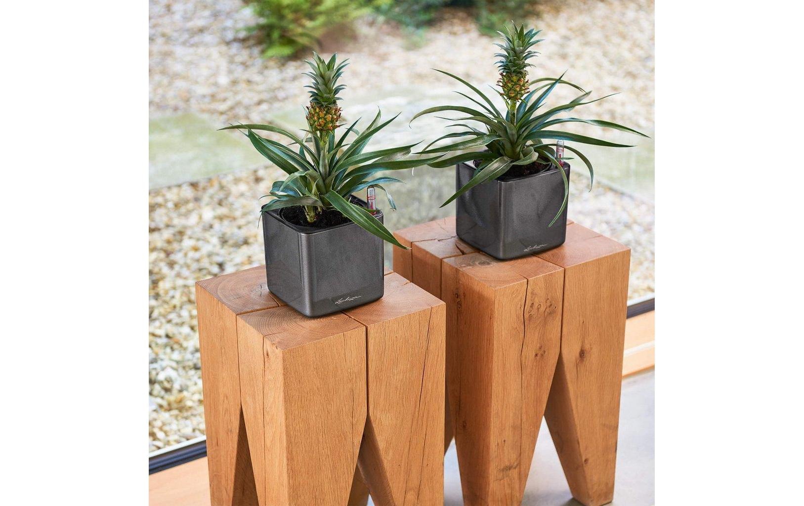   Blumentopf »Lechuza Pflanzentopf CUBE Glossy Ku« Material: Polycarbonat, Polypropylen