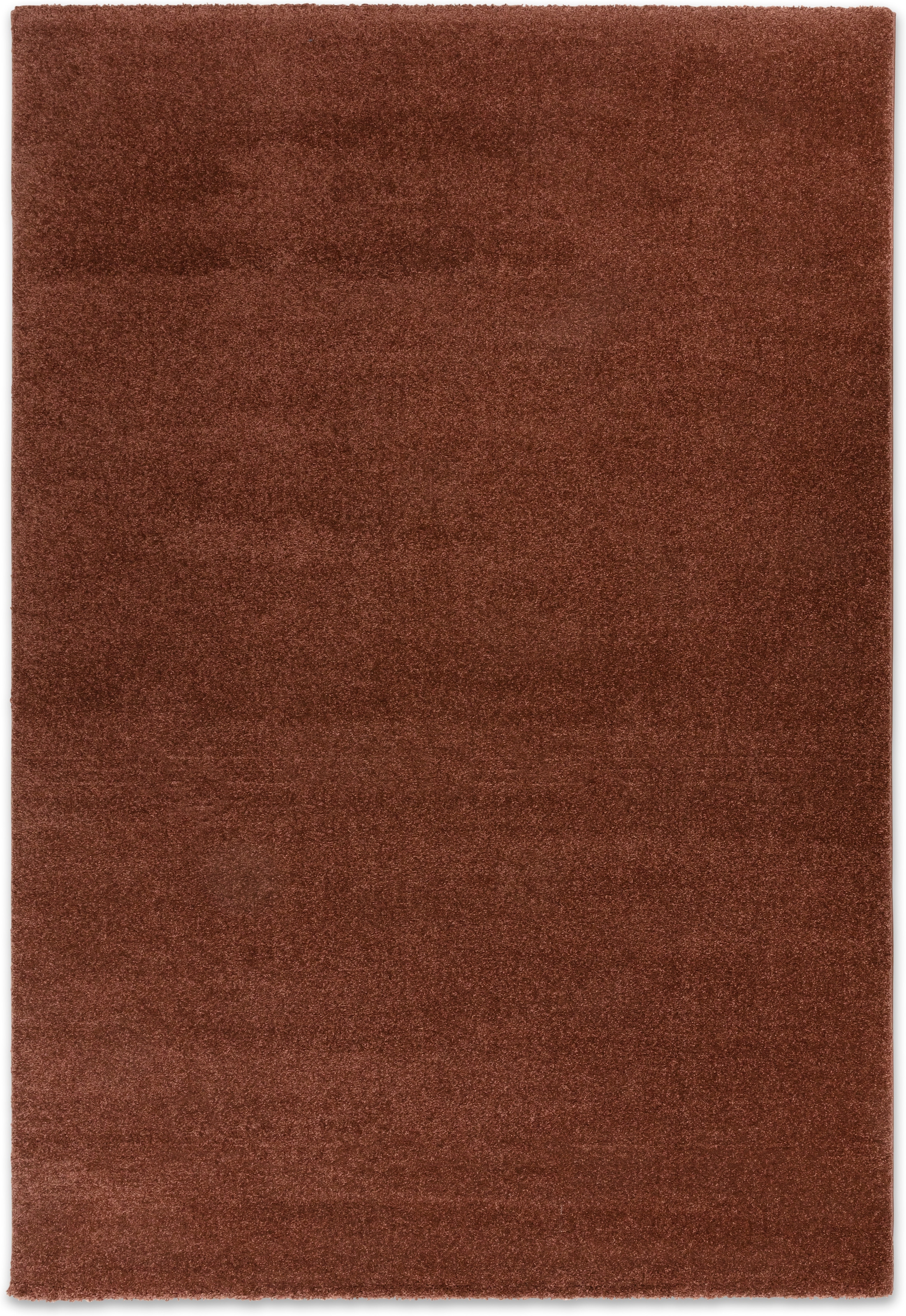 Image of SCHÖNER WOHNEN-Kollektion Teppich "Pure 250" rechteckig 21 mm Höhe Indoor, dichter robuster Teppich mit leichtem Glanz, Oeko-Tex