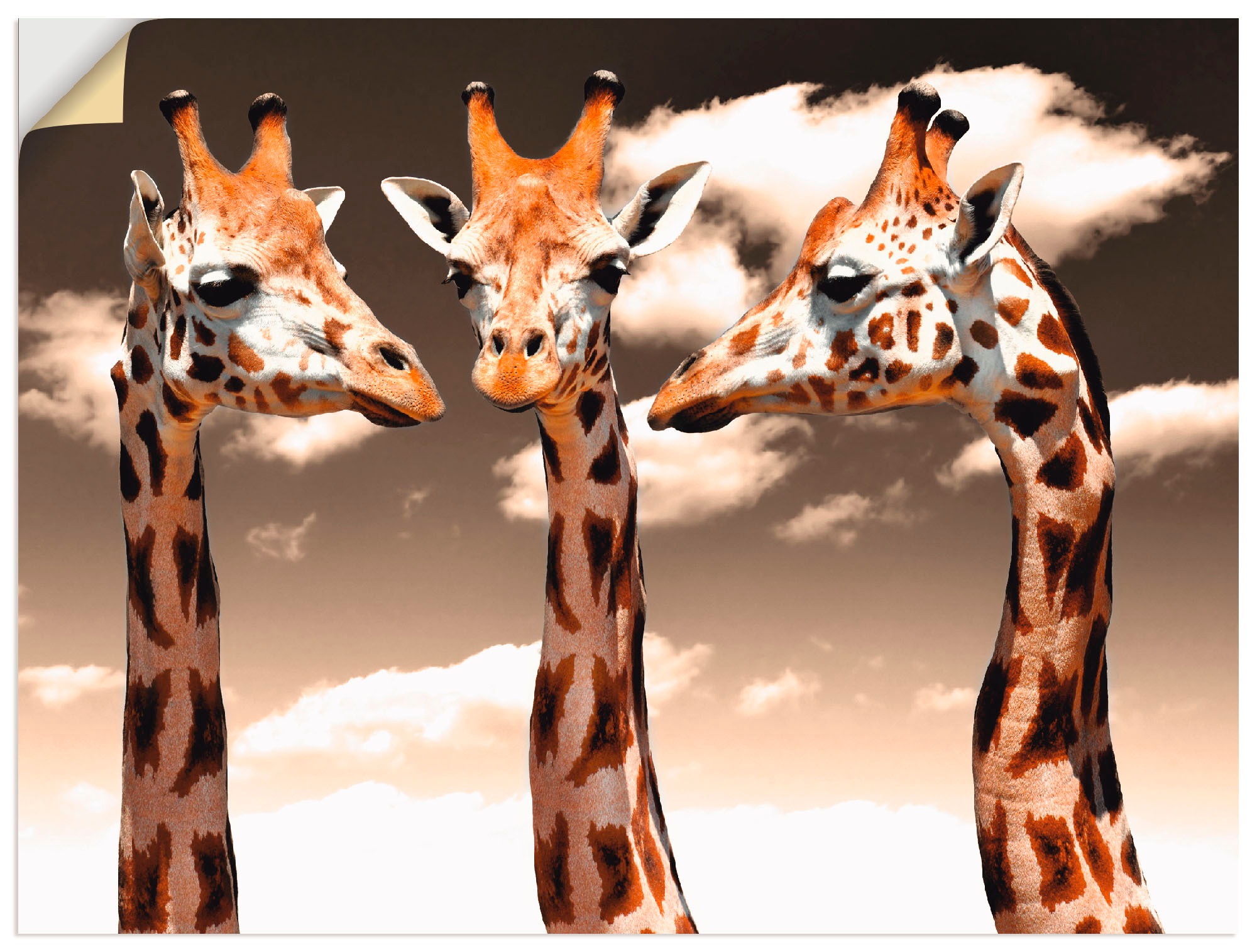 Image of Artland Wandbild »Giraffe_sepia«, Wildtiere, (1 St.), in vielen Grössen & Produktarten - Alubild / Outdoorbild für den Aussenbereich, Leinwandbild, Poster, Wandaufkleber / Wandtattoo auch für Badezimmer geeignet bei Ackermann Versand Schweiz