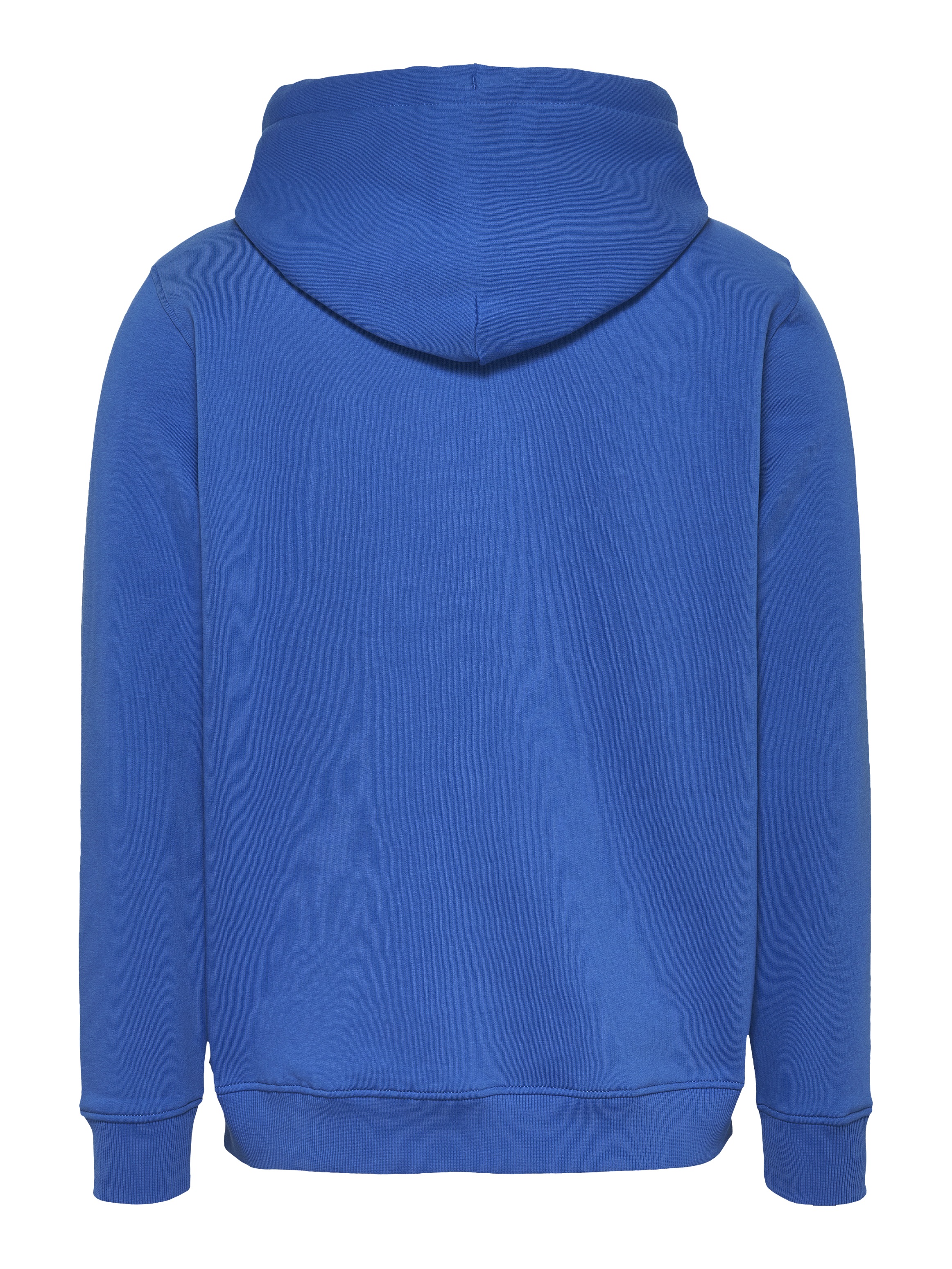Tommy Jeans Plus Hoodie »TJM REG LINEAR LOGO HOODIE EXT«, in Grosse Grössen, Logodruck