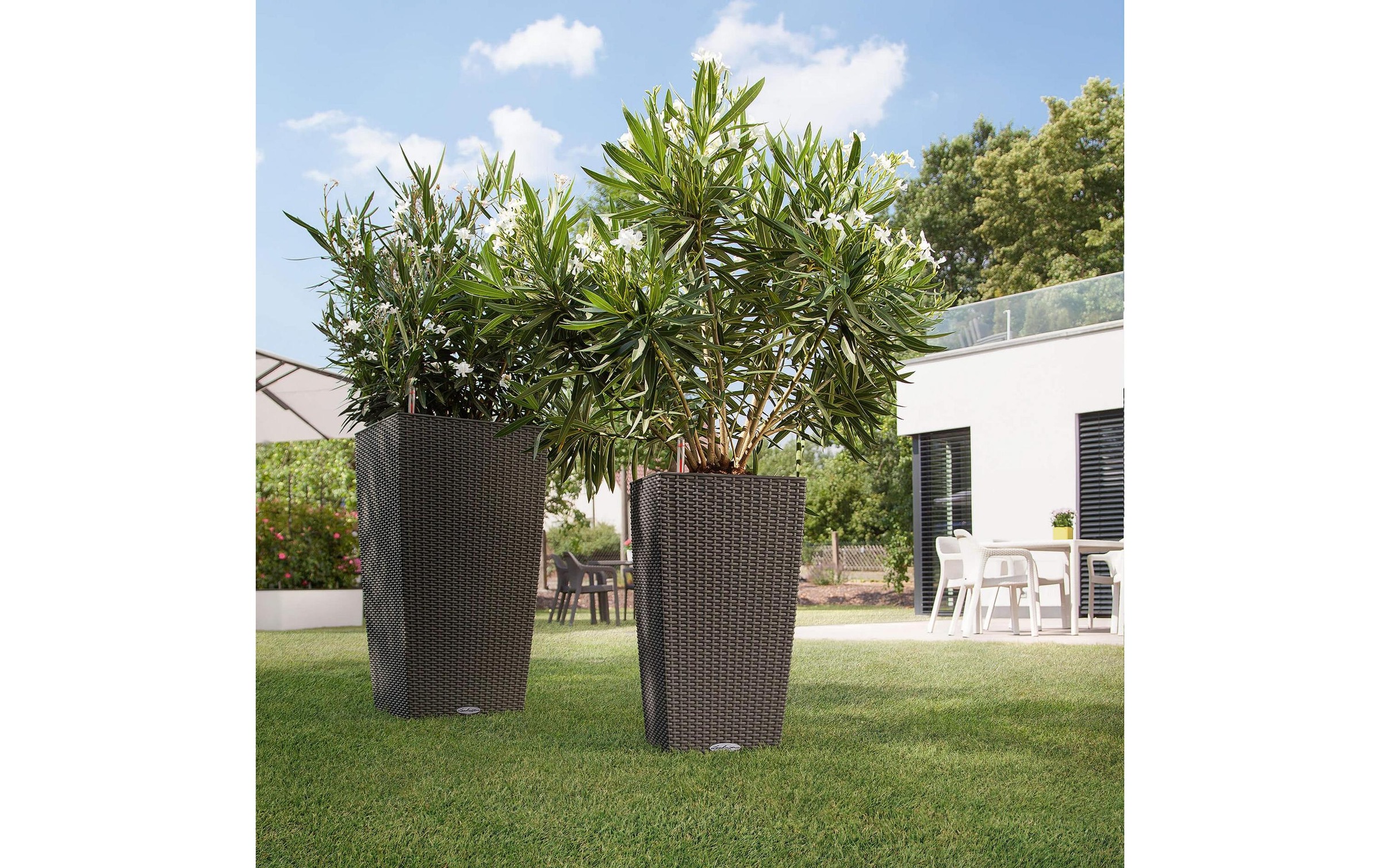   Blumentopf »Lechuza CUBICO Cottage 40 Graphit«