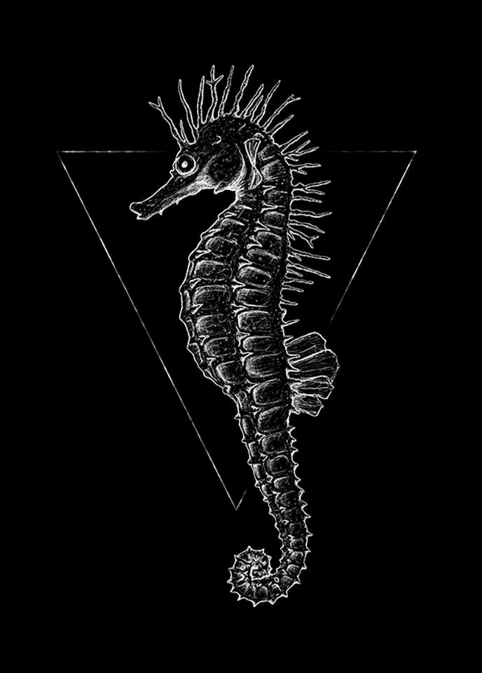 Image of Komar Poster »Sea Horse Black«, Tiere, Höhe: 40cm bei Ackermann Versand Schweiz