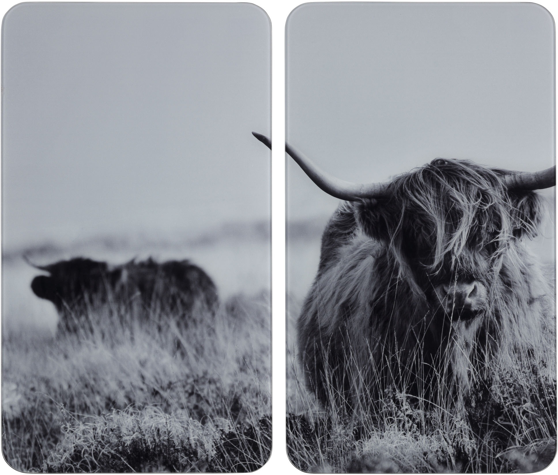 Image of WENKO Herd-Abdeckplatte »Highland Cattle«, (Set, 2 tlg.), für alle Herdarten bei Ackermann Versand Schweiz