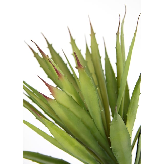I.GE.A. Kunstpflanze »Künstliche Agave Aloe Vera im Topf Kunstpflanze«,  Kaktus Kakteen maintenant