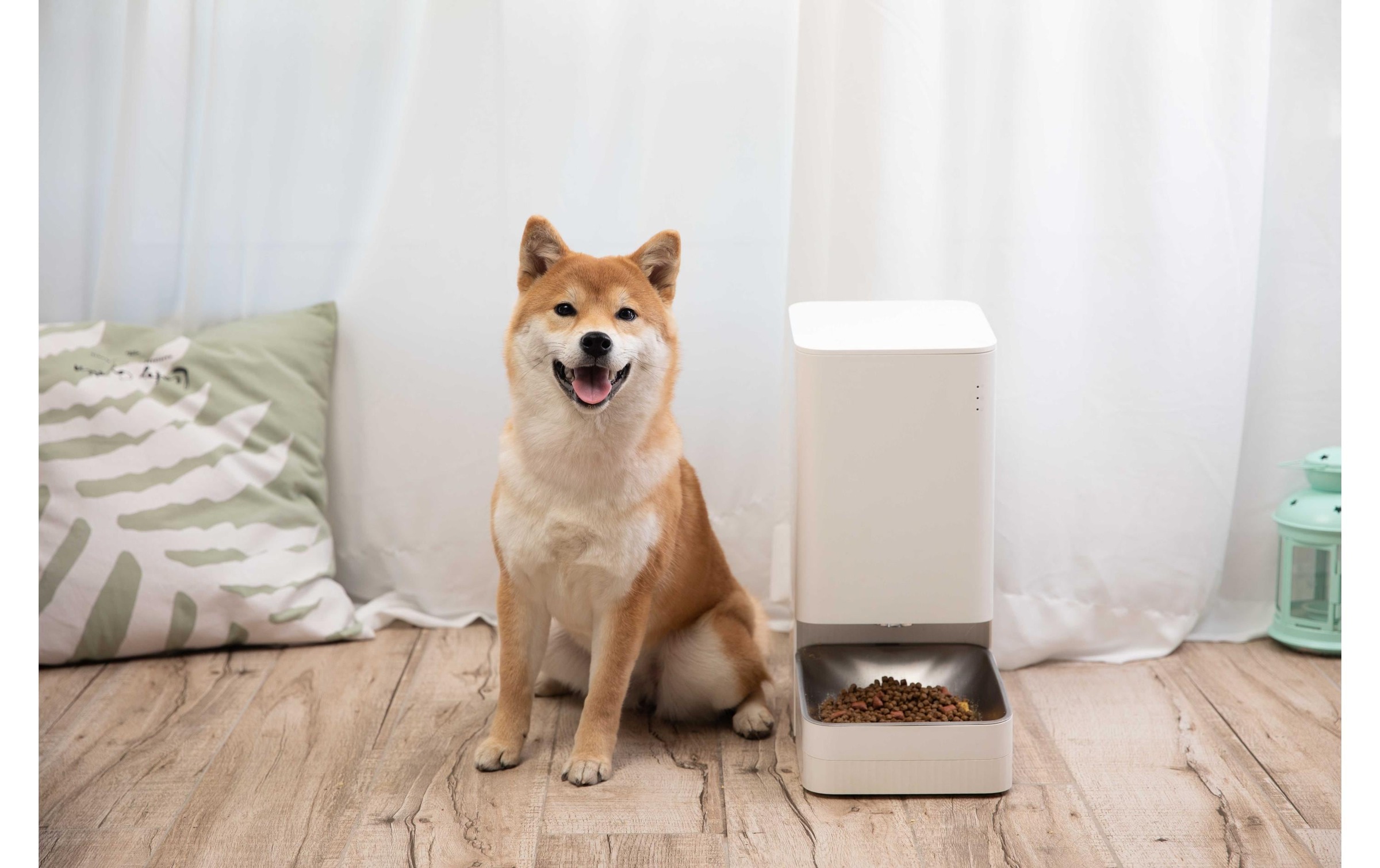 Xiaomi Futterautomat »Pet Food Feeder«