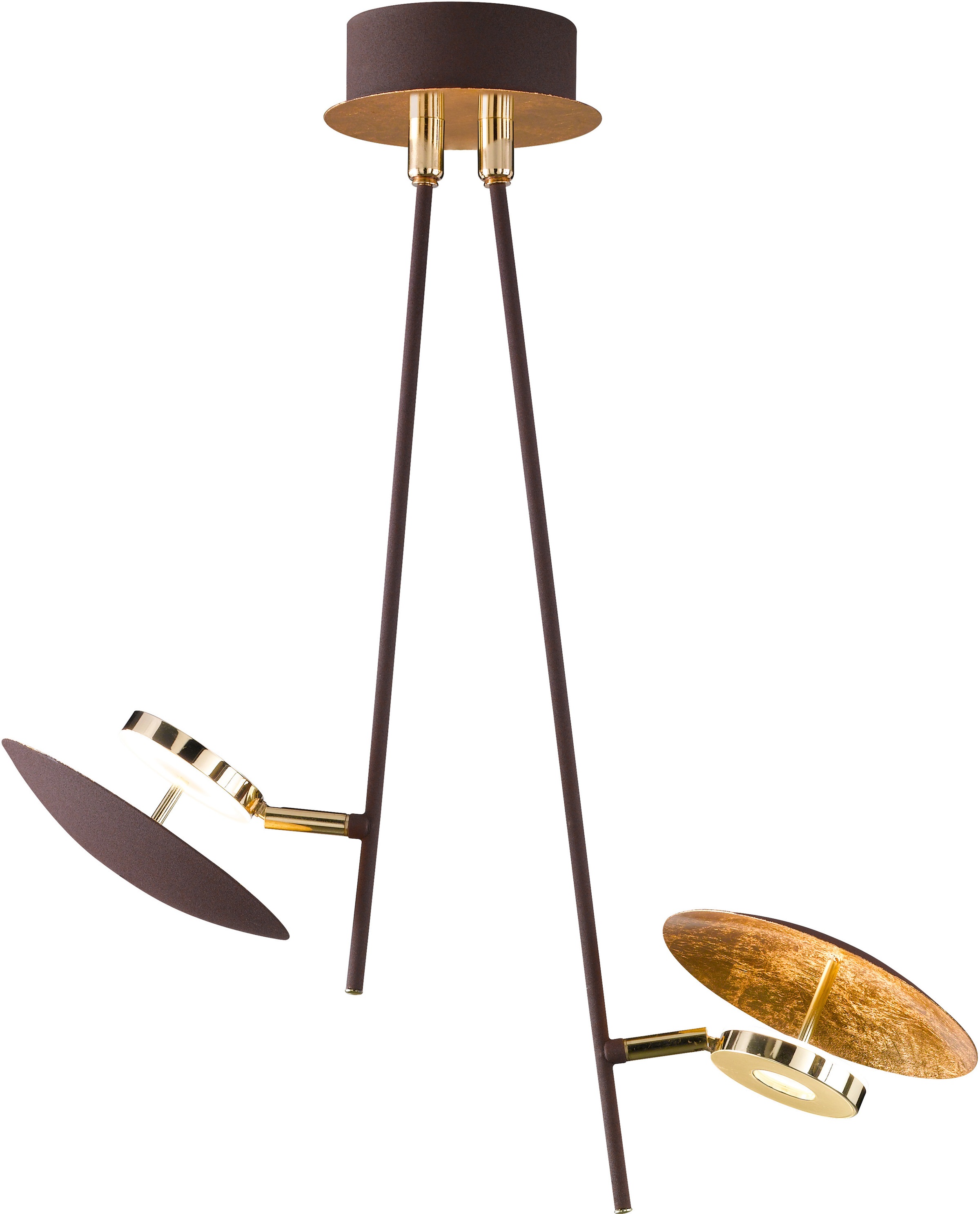 Image of WOFI LED Deckenleuchte »SALEM«, LED-Modul, 1 St., Warmweiss, goldfarbige Designelemente bei Ackermann Versand Schweiz