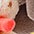 bunt