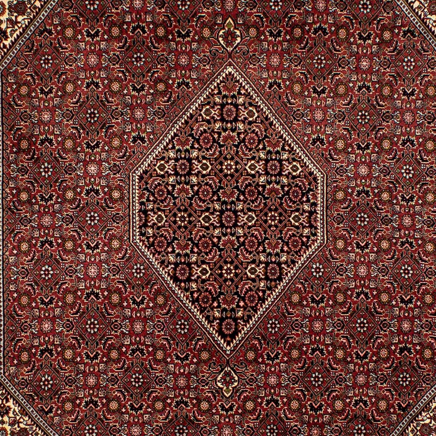 morgenland Orientteppich »Perser - Bidjar - 293 x 198 cm - braun«, rechteckig, Wohnzimmer, Handgeknüpft, Einzelstück mit Zertifikat