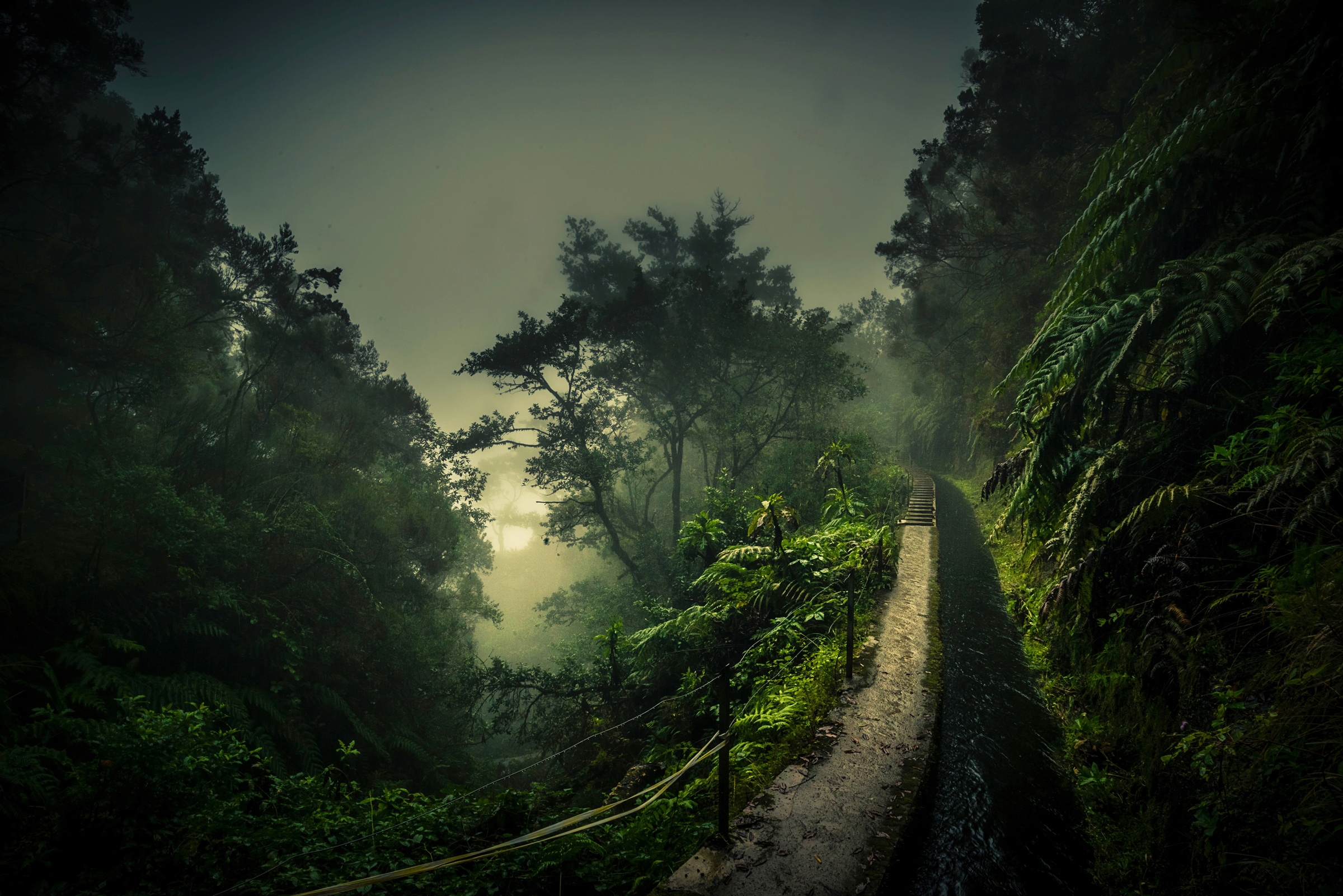 Fototapete »Photo-Art ROLAND WEBER, LEVADA WALK«