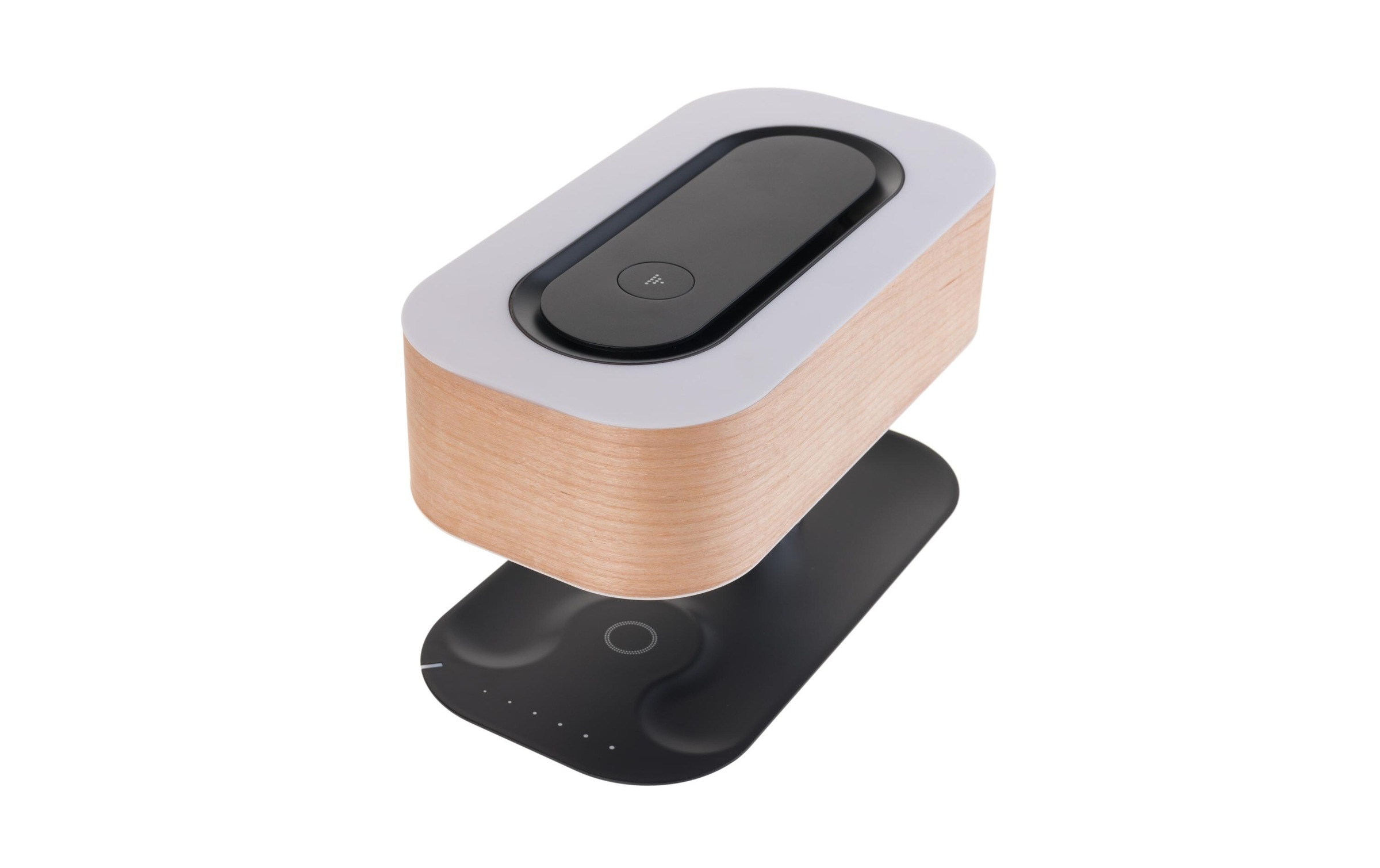 4smarts Akku-Ladestation »Charger Smart-Bons«