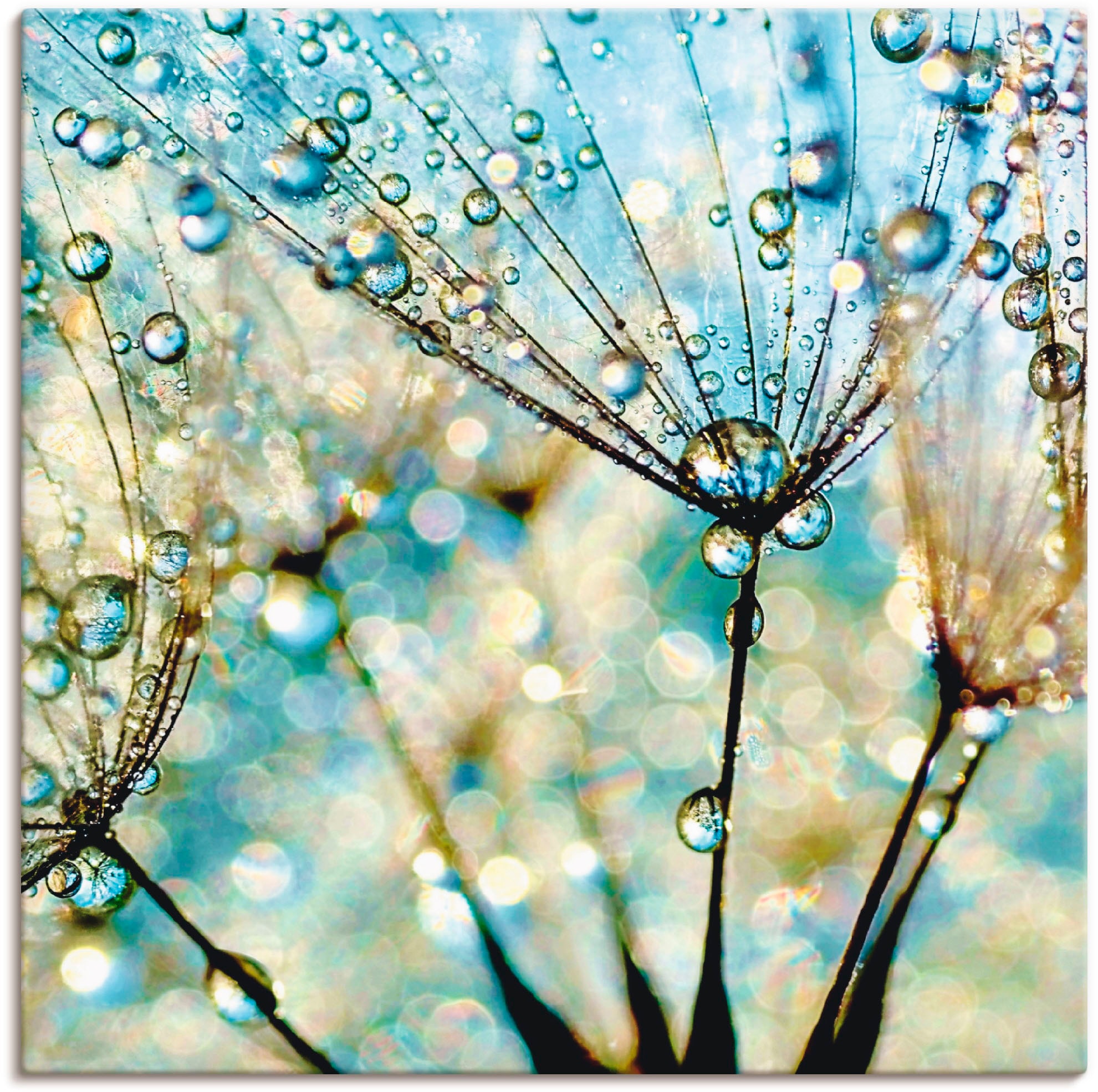 Image of Artland Leinwandbild "Pusteblume Blaue Diamanten" Blumen 1 Stk. tlg. auf Holzrahmen gespannt