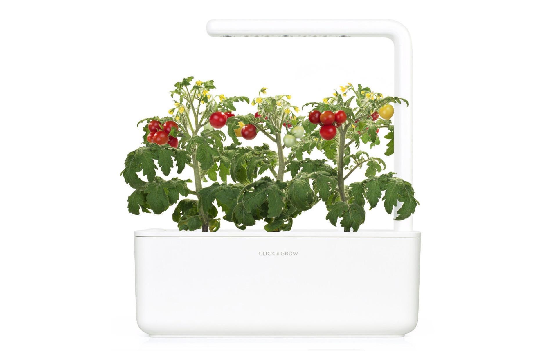 Click and Grow Kräutertopf »Smart Garden 3 Beige«