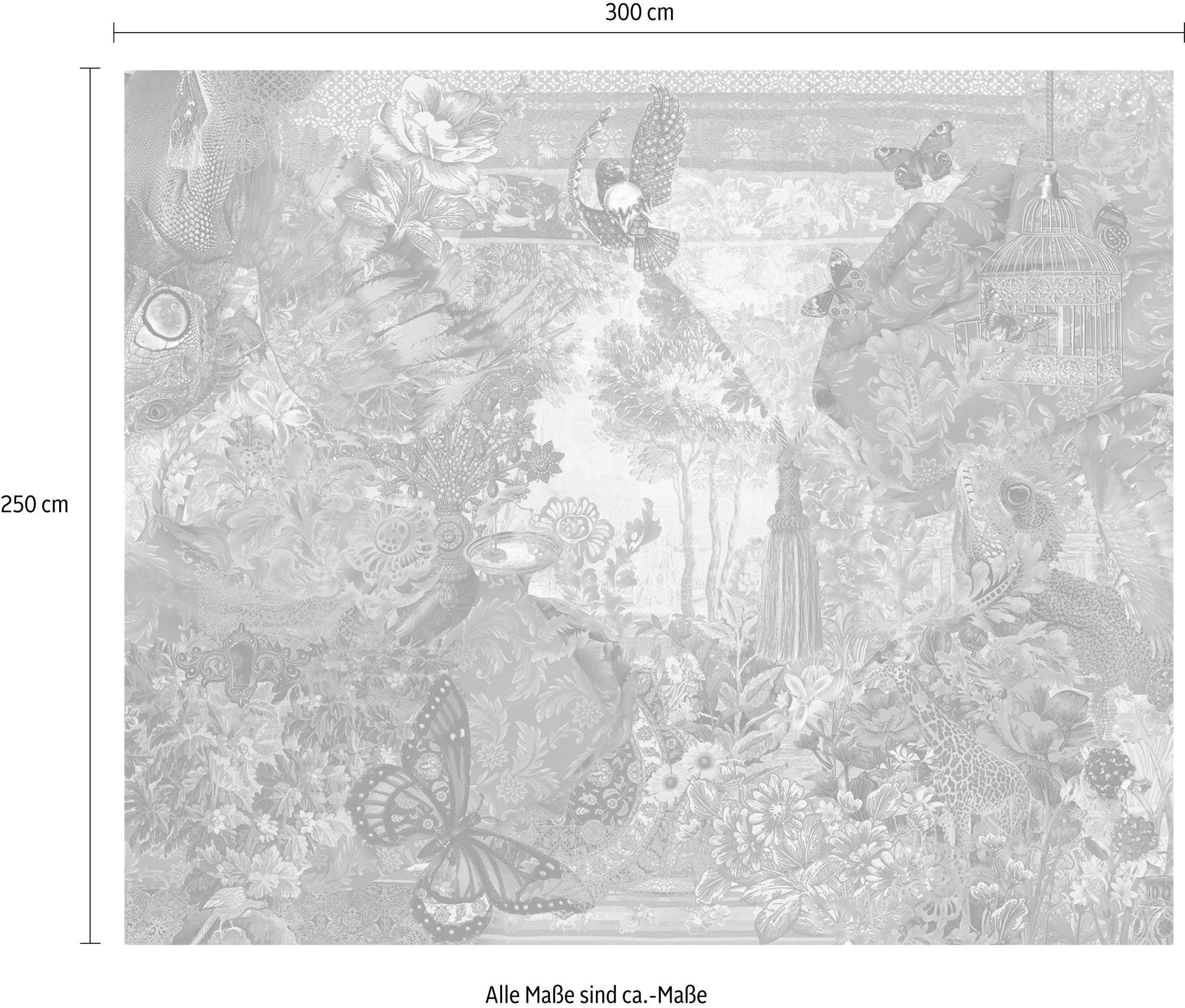 Komar Vliestapete (Breite x Höhe), Vliestapete, 100 cm Bahnbreite