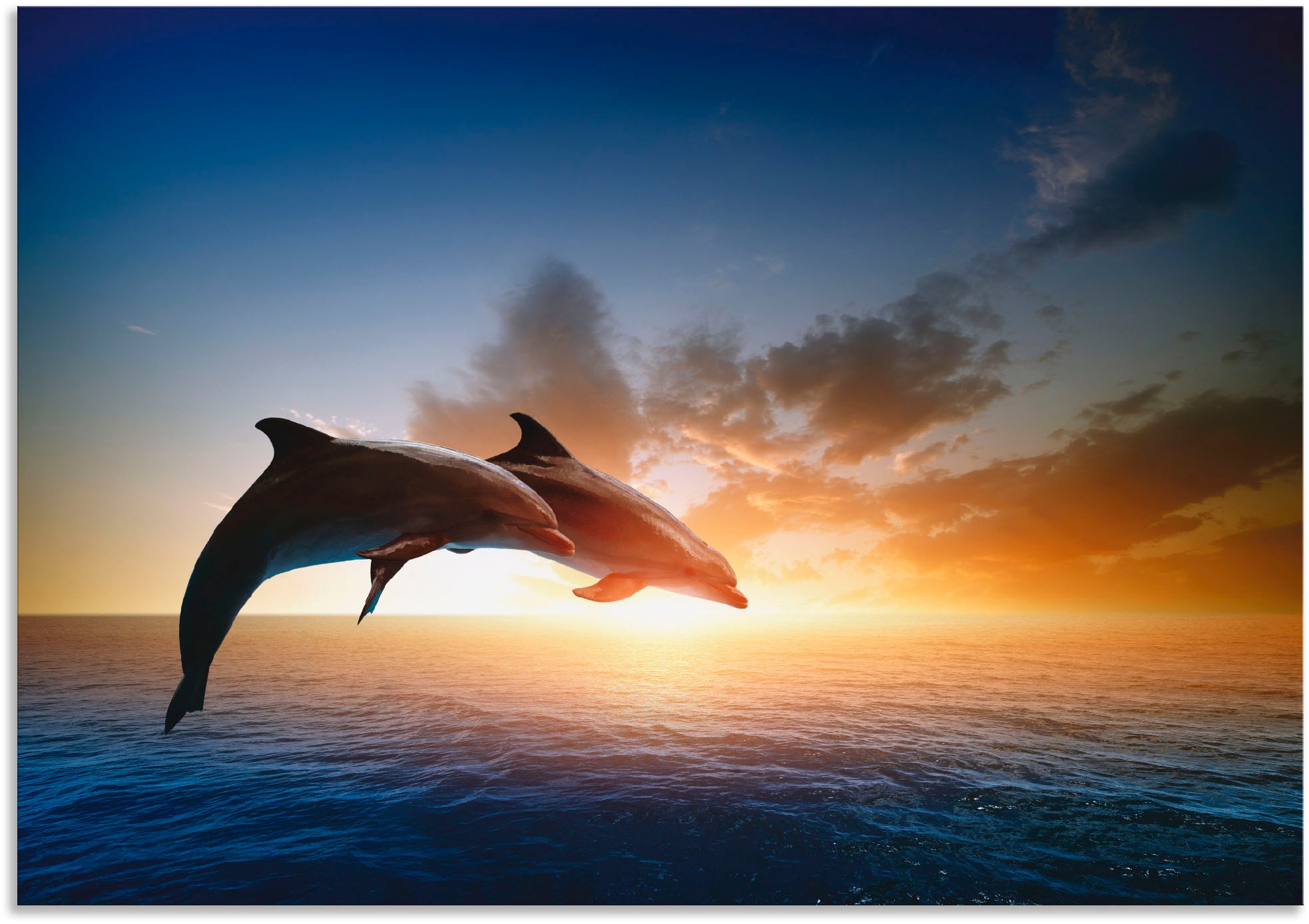 Image of Artland Wandbild »Delfinpaar«, Wassertiere, (1 St.), in vielen Grössen & Produktarten - Alubild / Outdoorbild für den Aussenbereich, Leinwandbild, Poster, Wandaufkleber / Wandtattoo auch für Badezimmer geeignet bei Ackermann Versand Schweiz