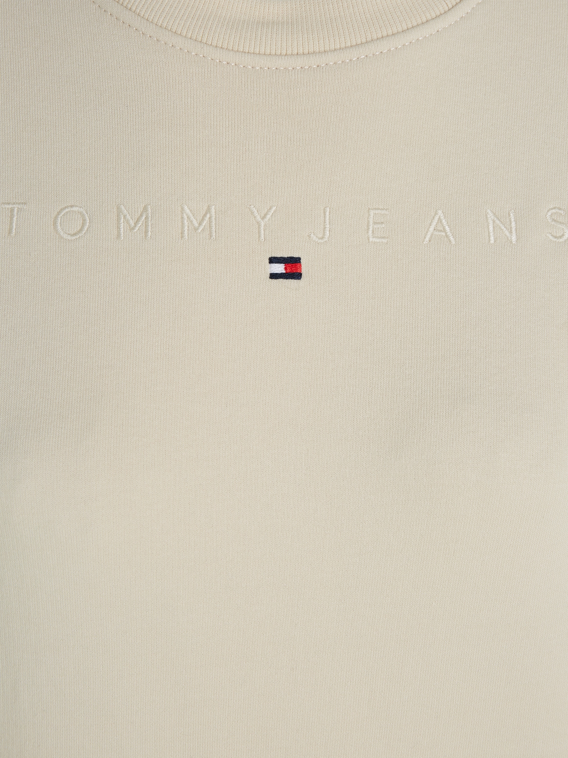 Tommy Jeans Curve Sweatshirt »TJW REG LINEAR CREW EXT«, in Grossen Grössen mit Logoschriftzug