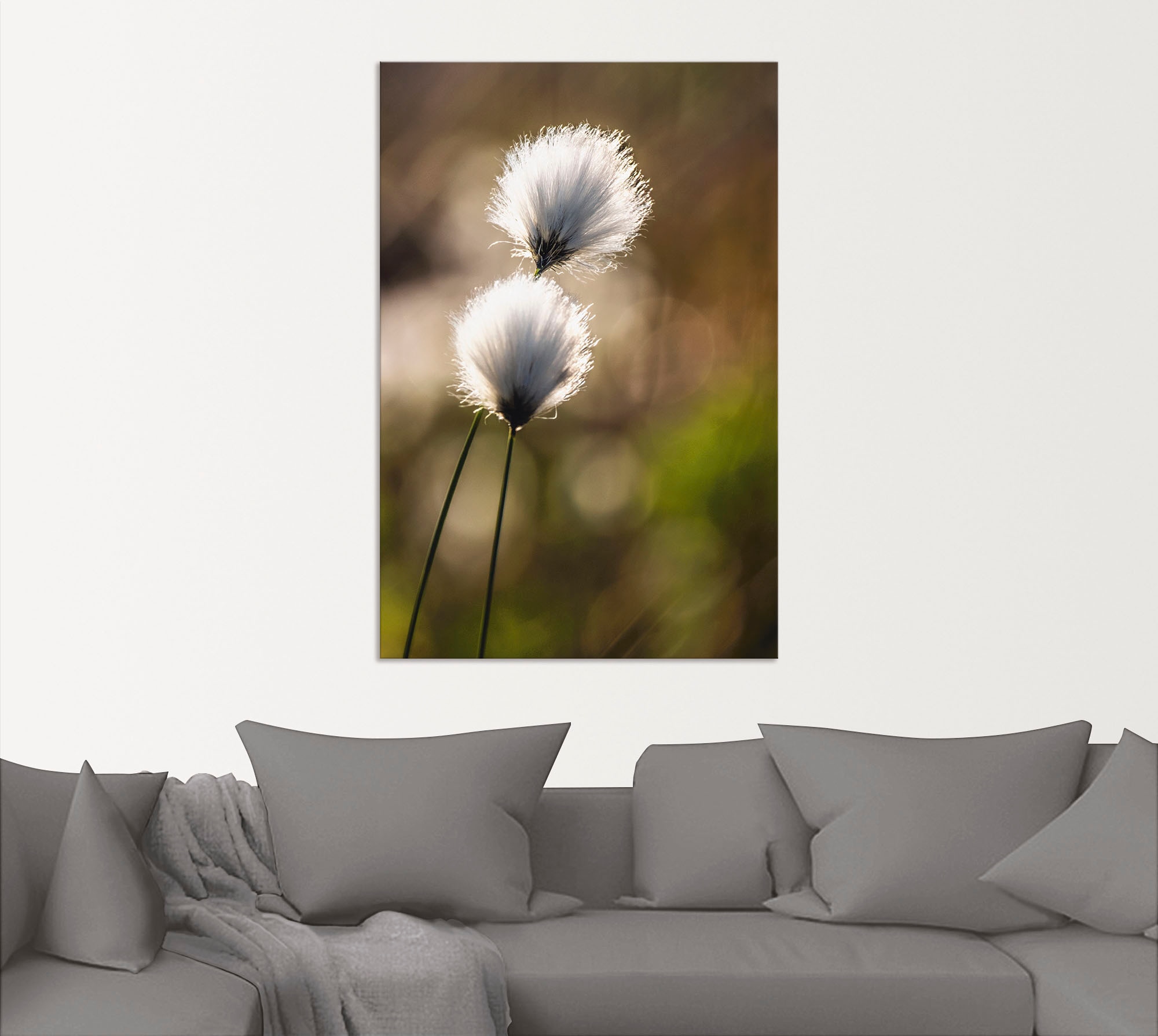 Artland Wandbild »Wollgras I«, Gräser, (1 St.), als Alubild, Outdoorbild, Leinwandbild, Poster in verschied. Grössen