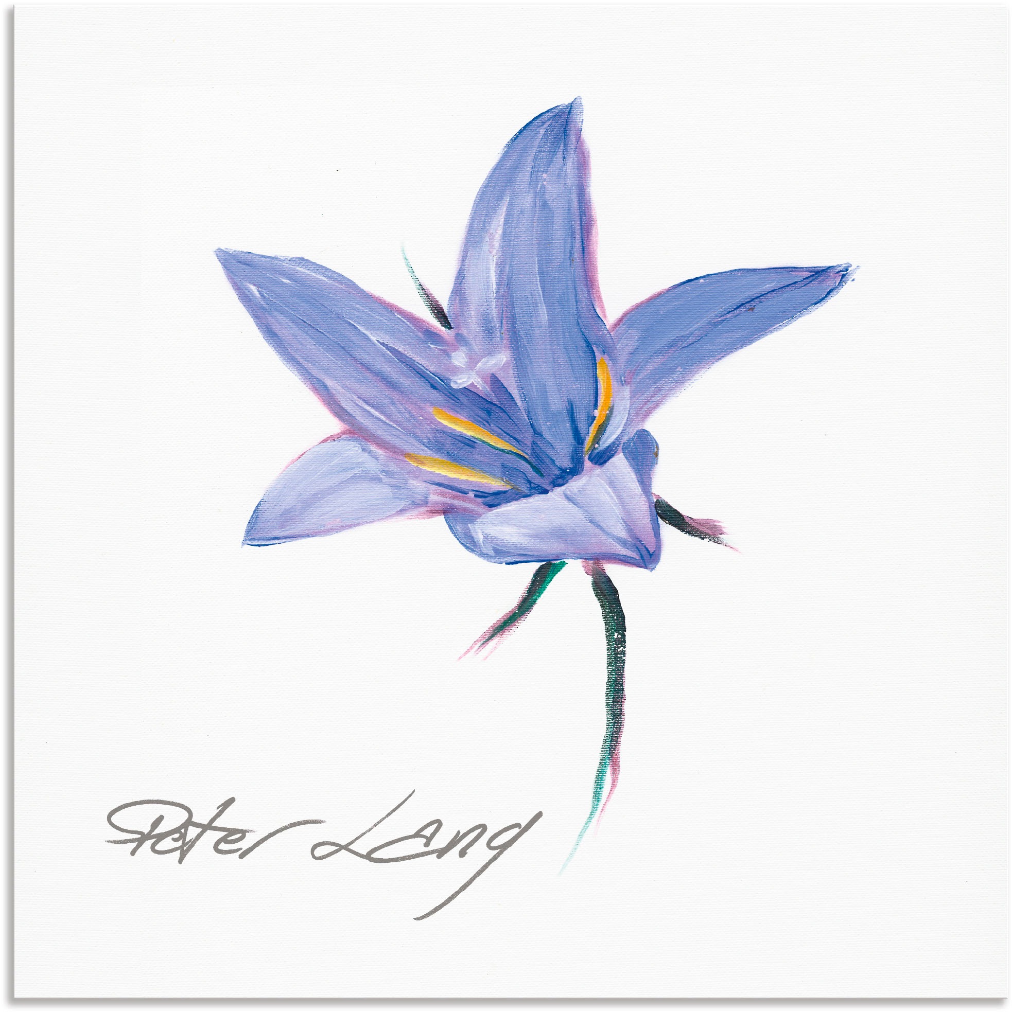 Image of Artland Wandbild »Blume_weiss II«, Blumen, (1 St.), in vielen Grössen & Produktarten - Alubild / Outdoorbild für den Aussenbereich, Leinwandbild, Poster, Wandaufkleber / Wandtattoo auch für Badezimmer geeignet bei Ackermann Versand Schweiz