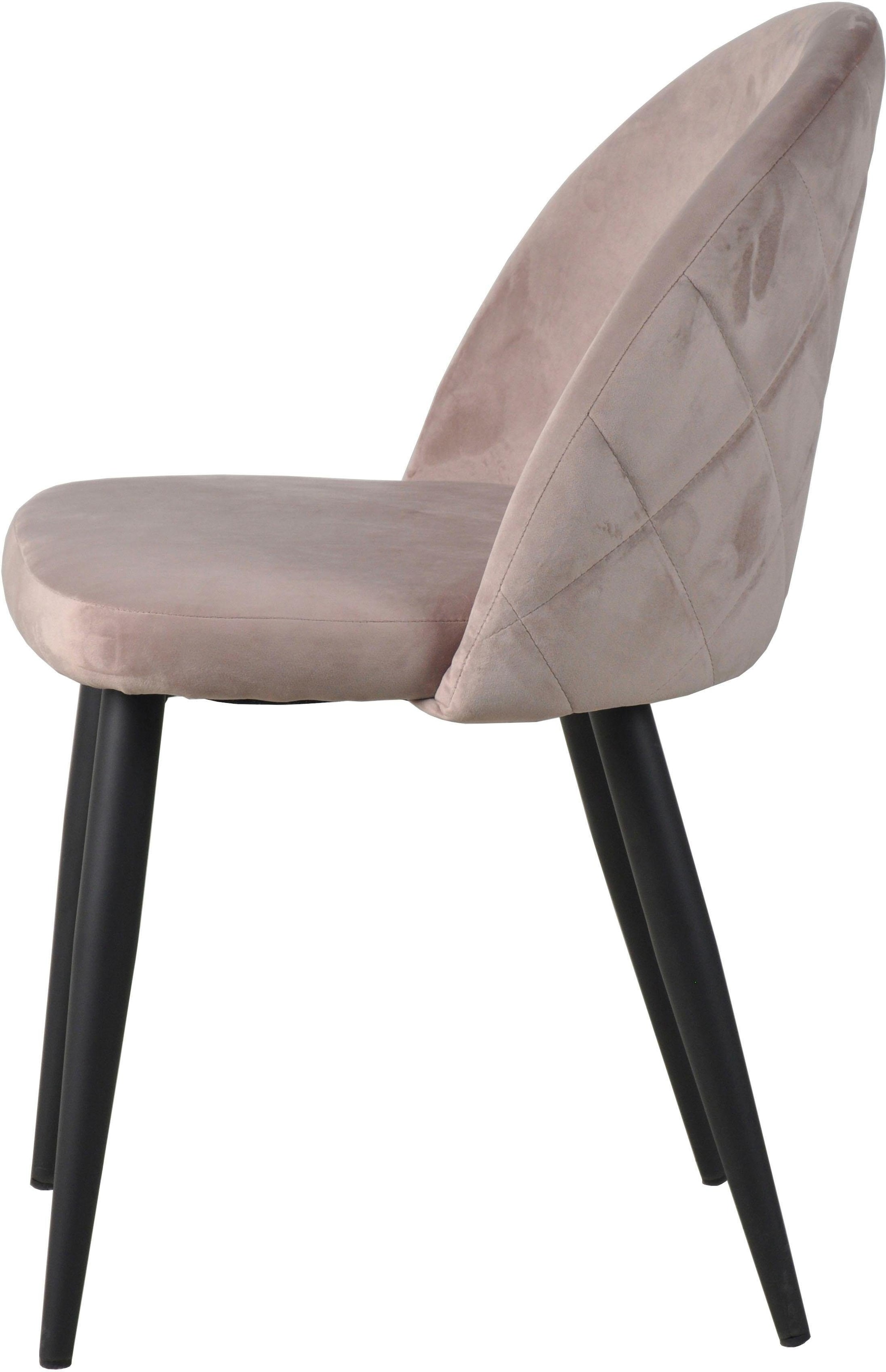 SIT Chaise rembourrée »2er Set Samt Altrosa Stahlgestell Schwarz« (Ensemble) 2 cuisRevêtement en velours noble vieux rose avec piqûres carreaux modernes