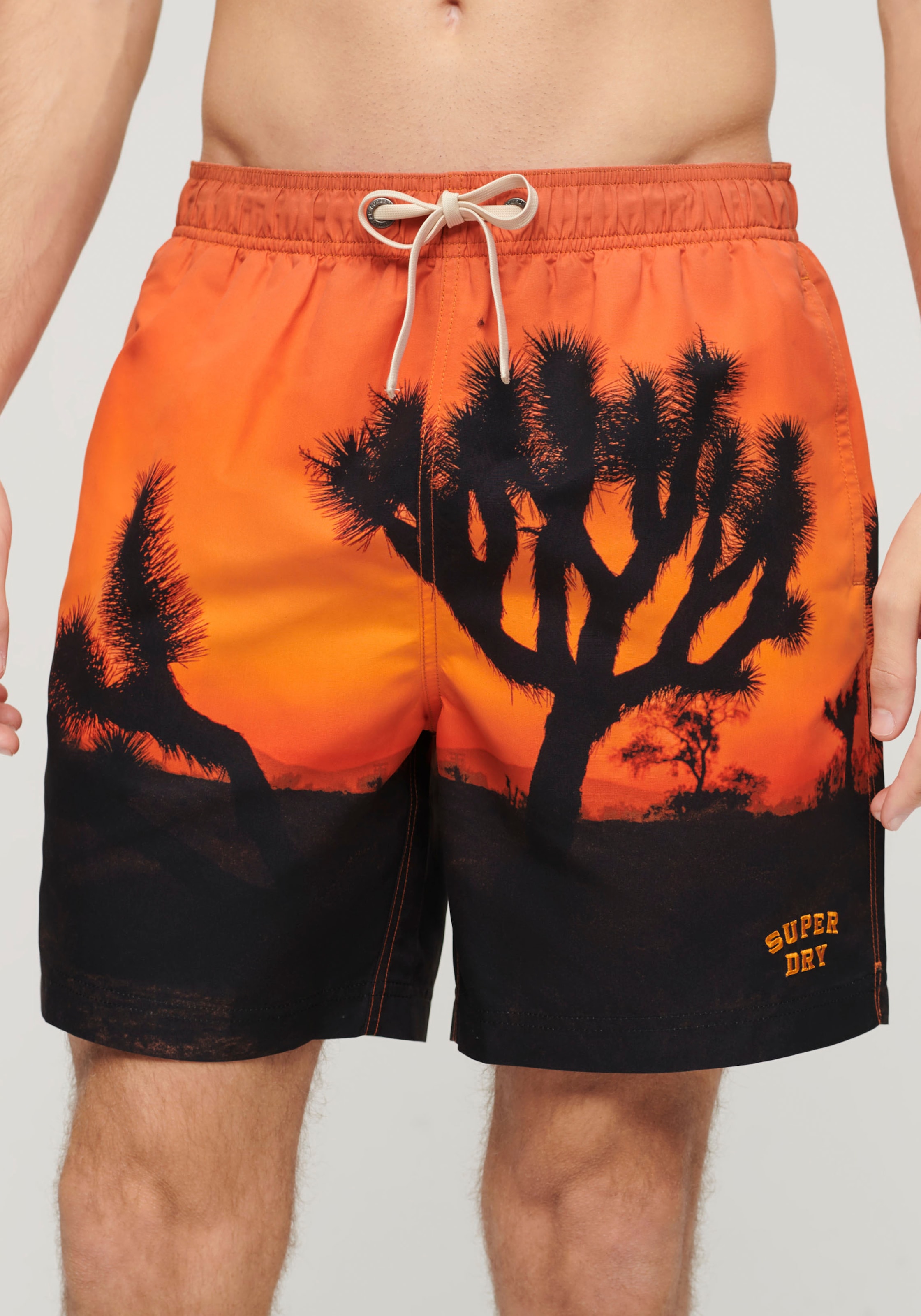 Superdry Badeshorts »SD-PHOTOGRAPHIC 17" SWIM SHORT«