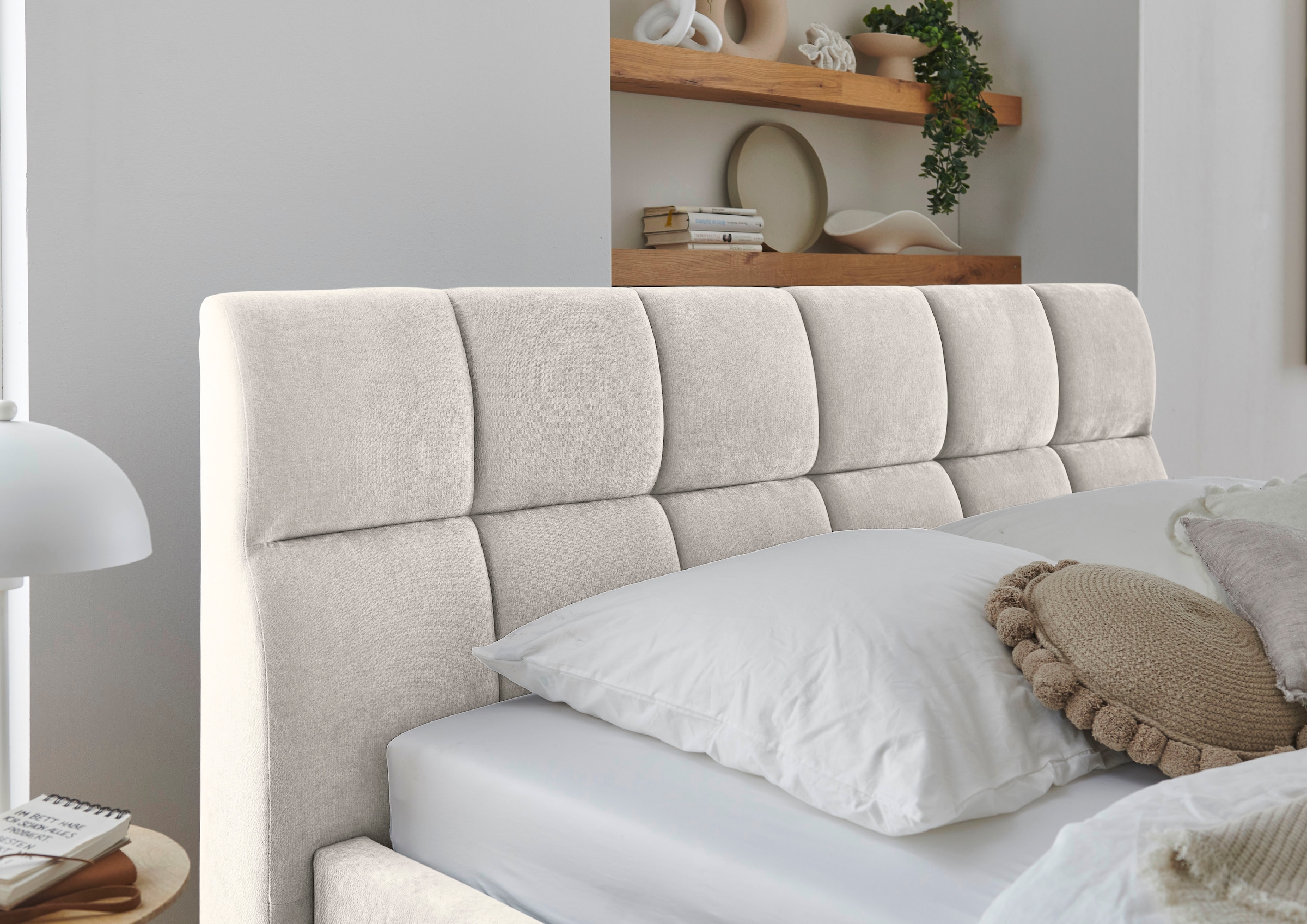 meise.möbel Polsterbett »Canyon, Breite 180cm, erhältlich in grau oder beige« inkl. Schubkasten im Fussteil - ideal als Hundebett nutzbar