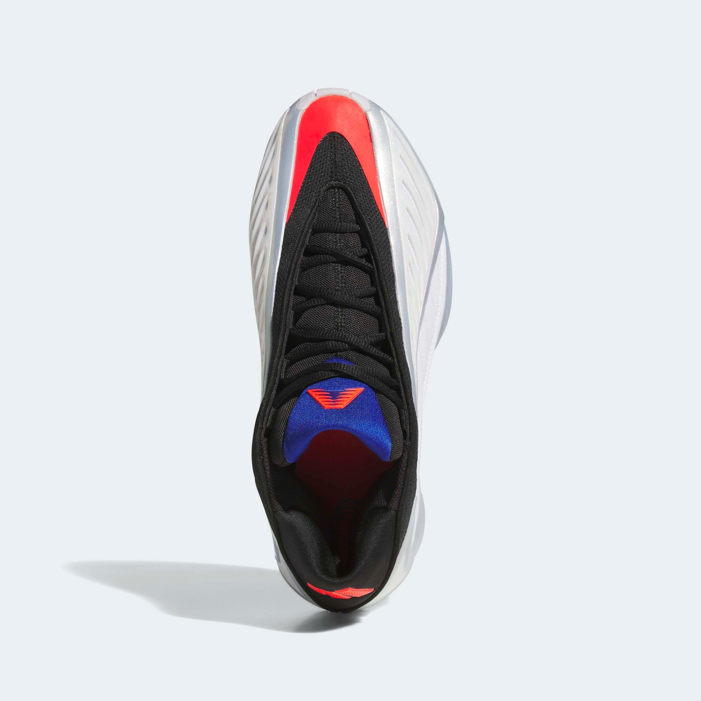 adidas Performance Chaussure de basket »ANTHONY EDWARDS 2«