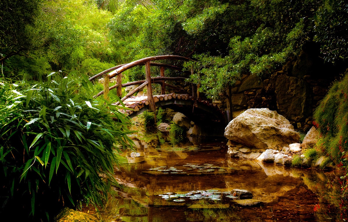 Image of Papermoon Fototapete "Brücke im Wald"