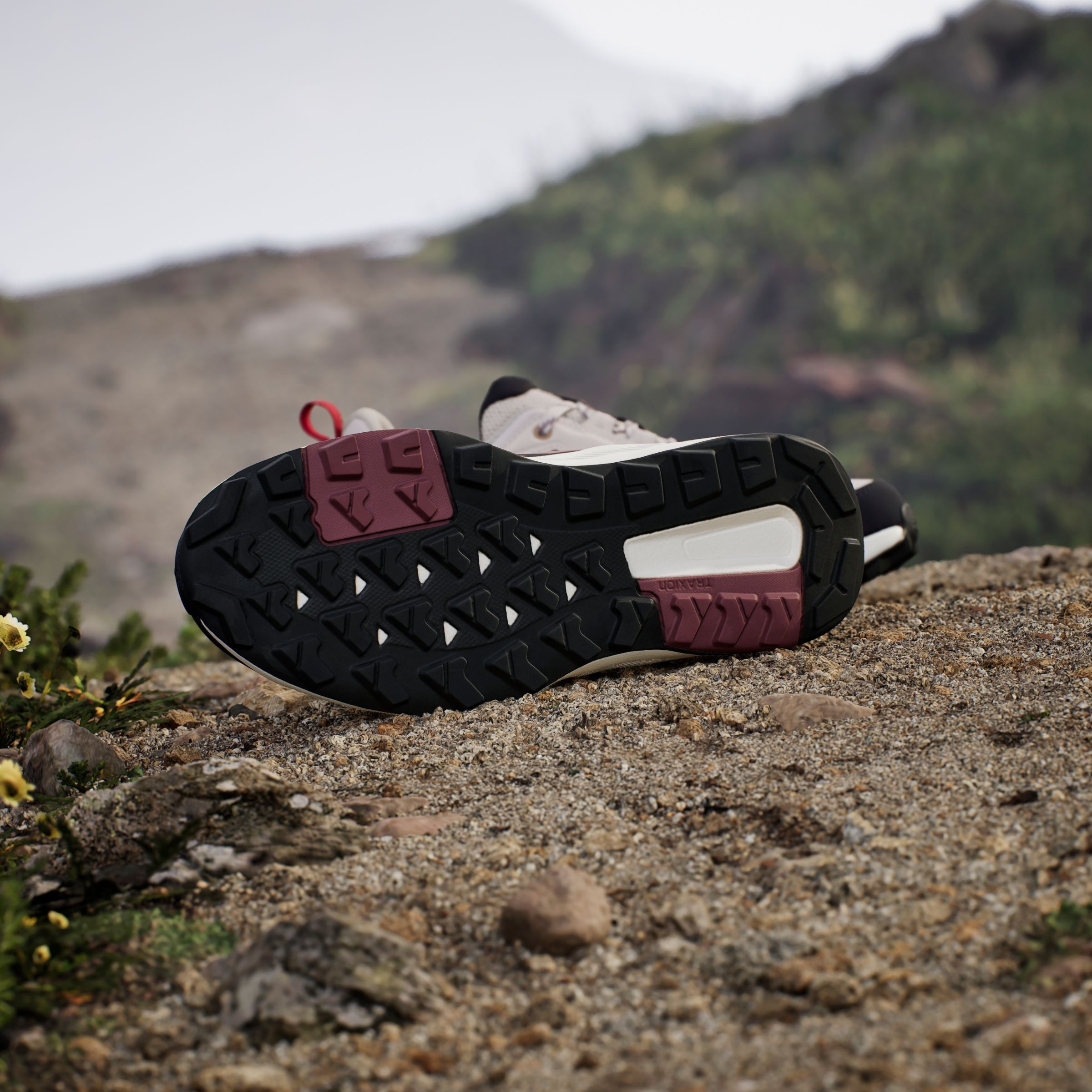 adidas TERREX Wanderschuh »TERREX ANYLANDER«