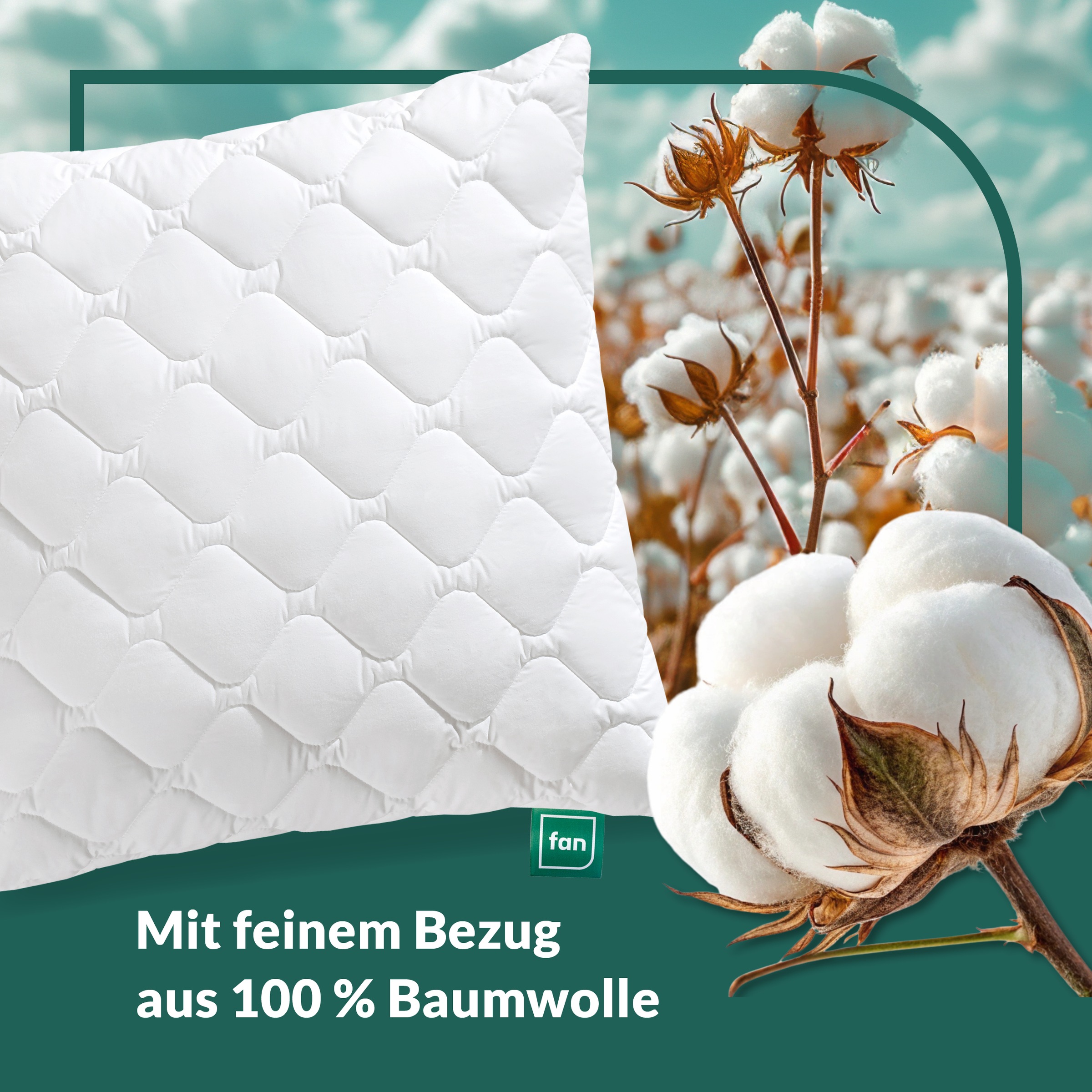 fan Oreiller en microfibre »Kansas, mit Baumwollbezug und Reissverschluss« Füllung: 100 % microfibre 1 cuis tlg. en 40x80 ou 80x80 cm, oreiller en microfibre, fabriqué en Allemagne