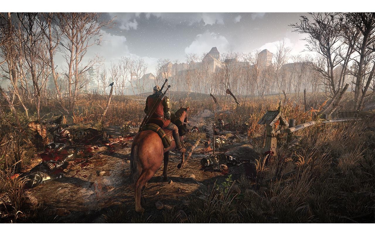 BANDAI NAMCO Spielesoftware »The Witcher 0,125 Wild Hunt, Switch«, Nintendo Switch