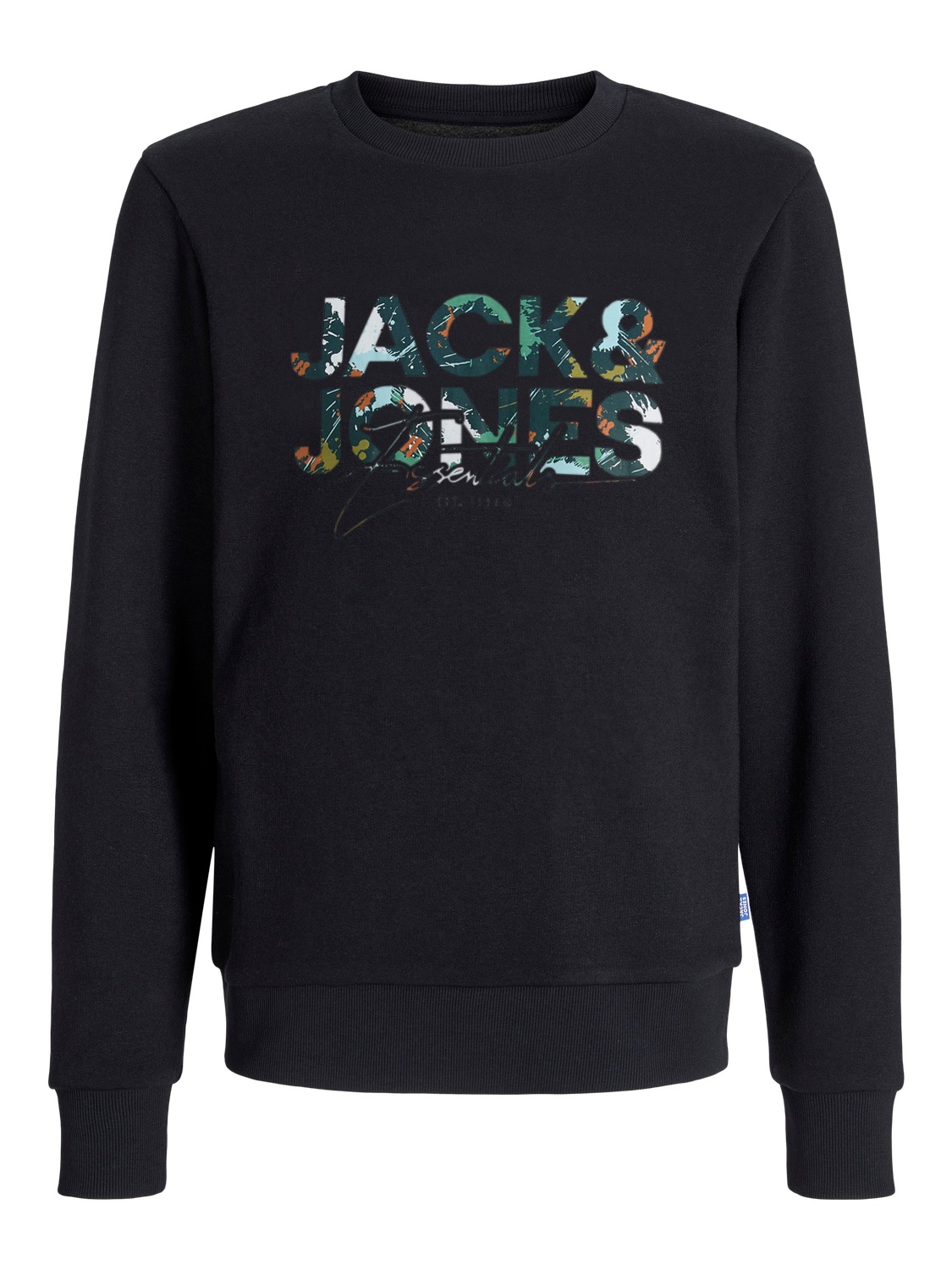 Jack & Jones Junior Sweatshirt »JJGEPLAS SWEAT CREW NECK JNR«