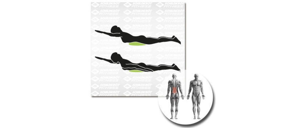 Schildkröt-Fitness Balancekissen »PVC Ø 33 cm«