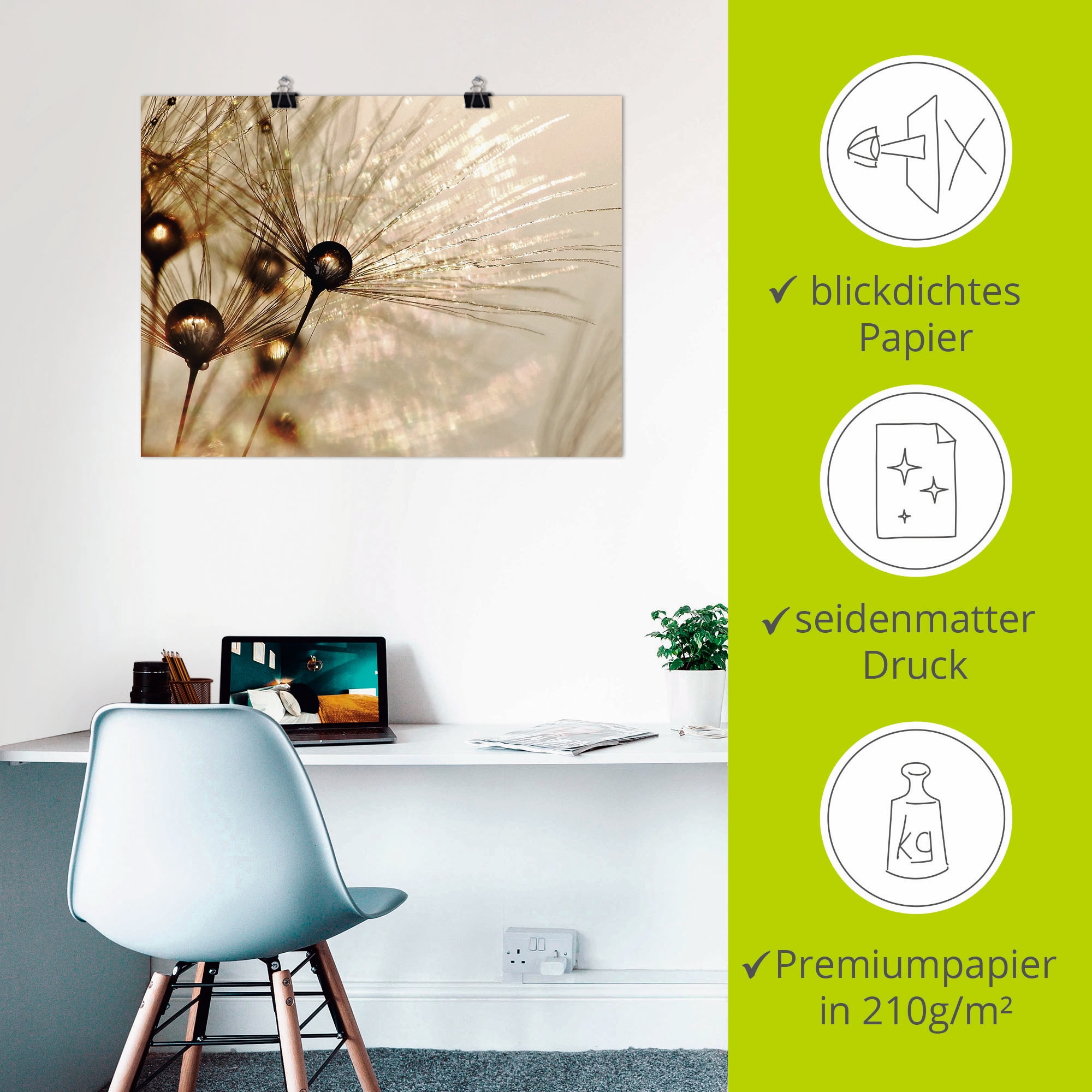 Artland Wandbild »Pusteblume Goldener Tropfen« Blumen 1 Stk. tlg. als Alubild, Leinwandbild, Poster in verschied. Grössen