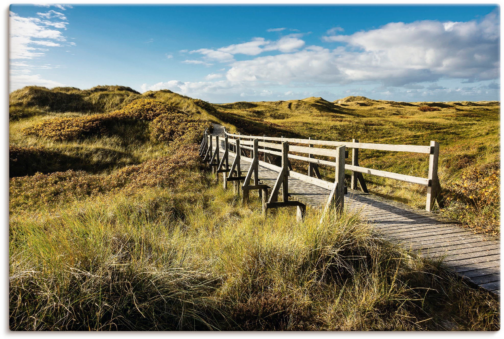 Image of Artland Wandbild »Landschaft in den Dünen Insel Amrum«, Küste, (1 St.), in vielen Grössen & Produktarten - Alubild / Outdoorbild für den Aussenbereich, Leinwandbild, Poster, Wandaufkleber / Wandtattoo auch für Badezimmer geeignet bei Ackermann Versand Sch