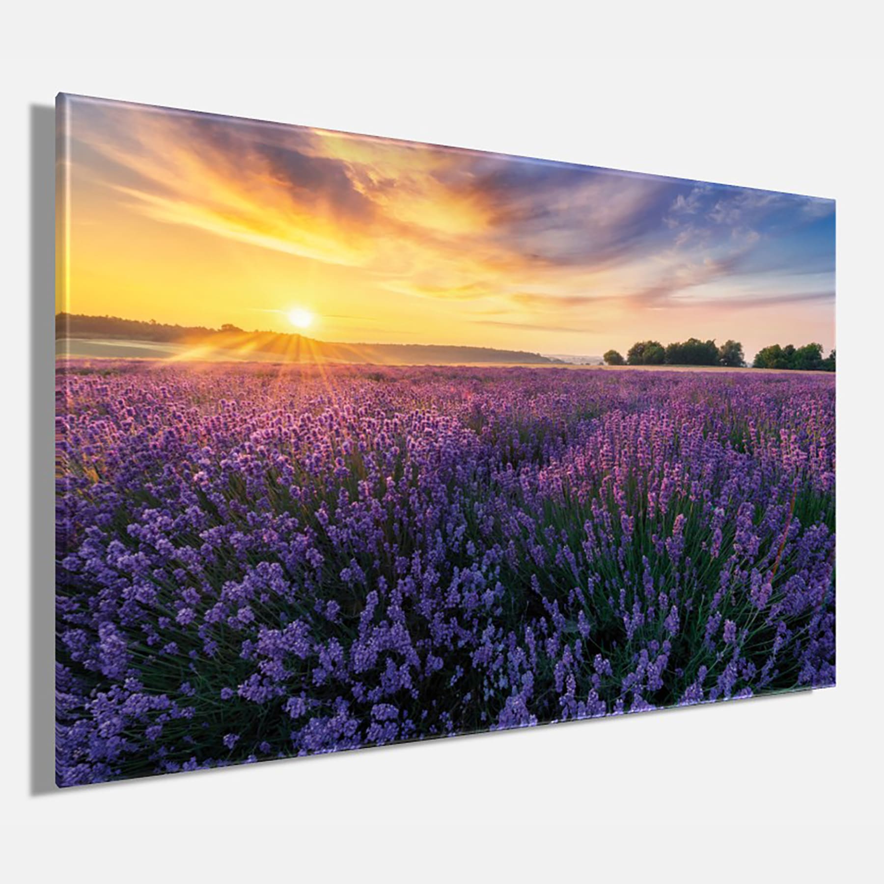 Bönninghoff Leinwandbild »Wandbild LAVENDELFELD 78x118 cm – Leinwandbild Keilrahmen Deko modern« Felder | Sonnenaufgang 1 Stk. tlg. auf Keilrahmen gespannt