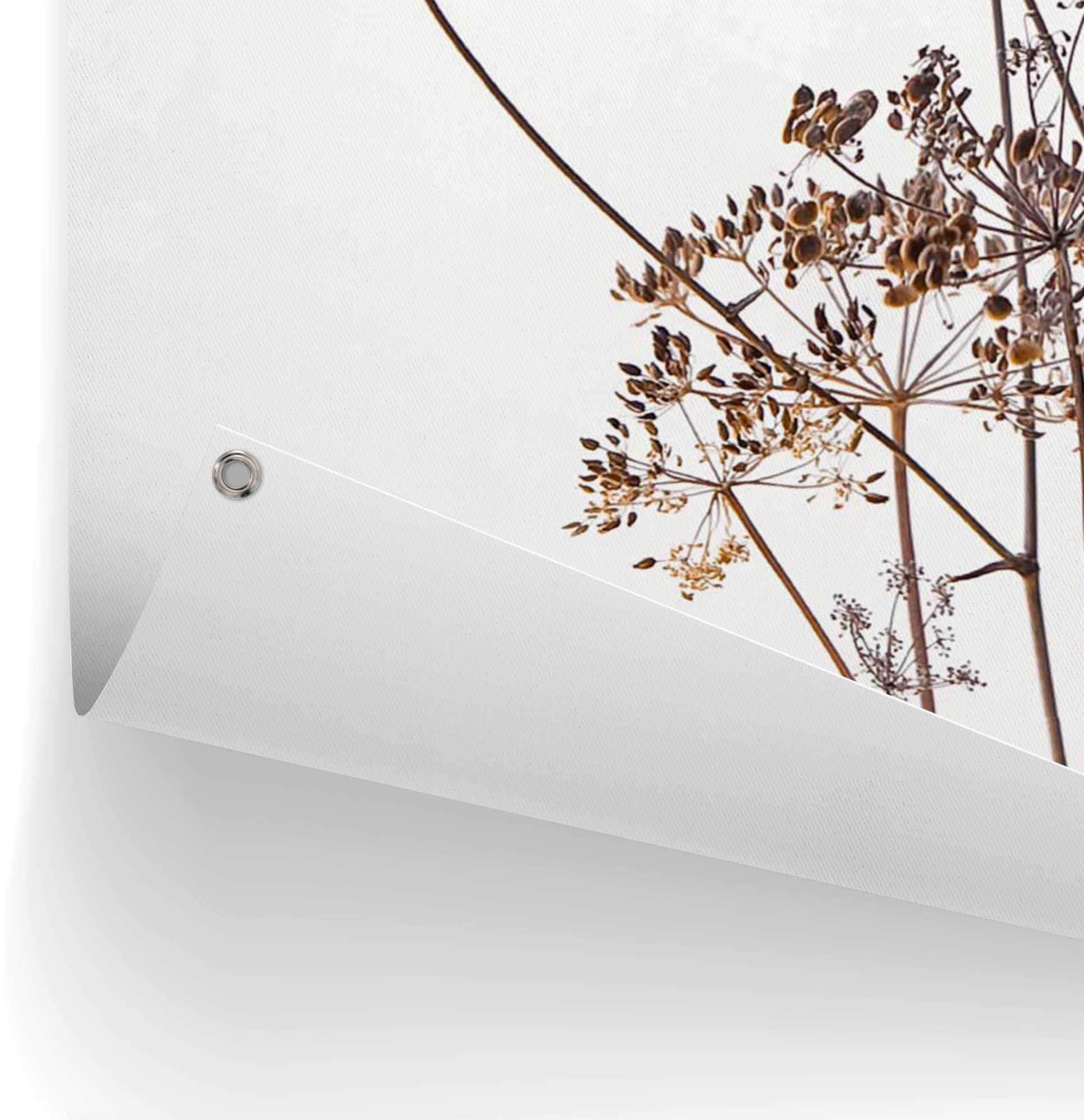 Reinders! Poster »Bärenklau« leichtes und wasserfestes Gartenposter für den Ausseneinsatz