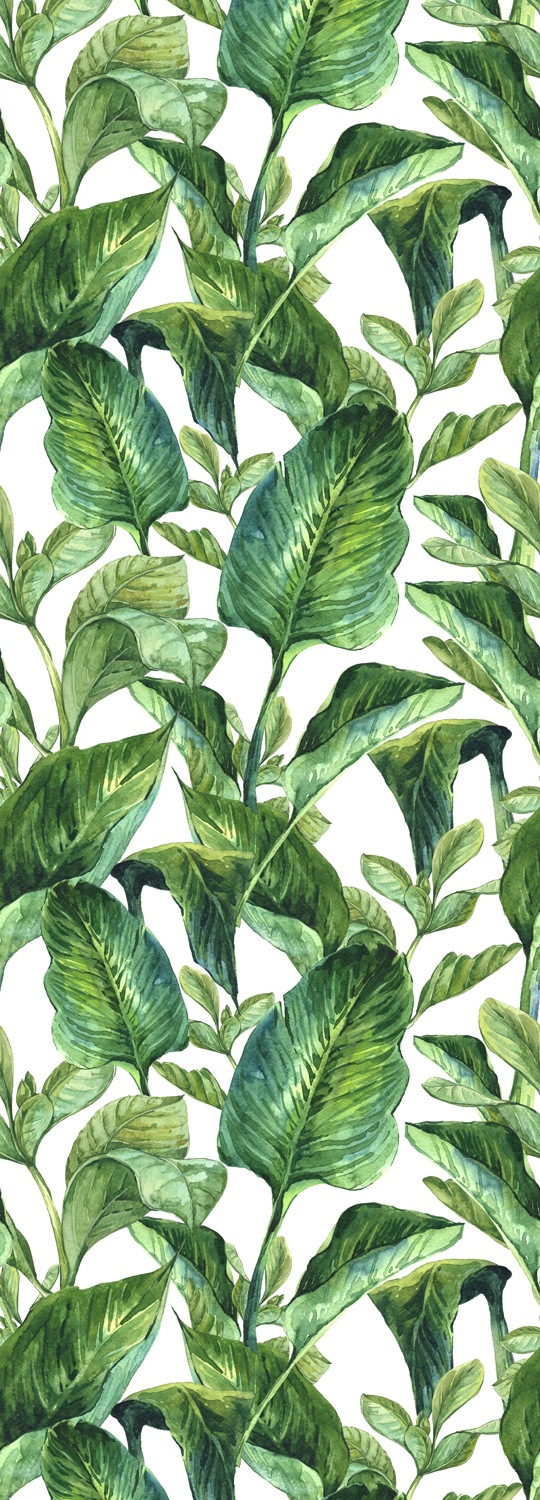Image of queence Vinyltapete "Green Leaves" Motiv bedruckt botanisch floral gemustert natürlich glatt 90x250cm, selbstklebend, kinderleichte Anbringung, Sticker