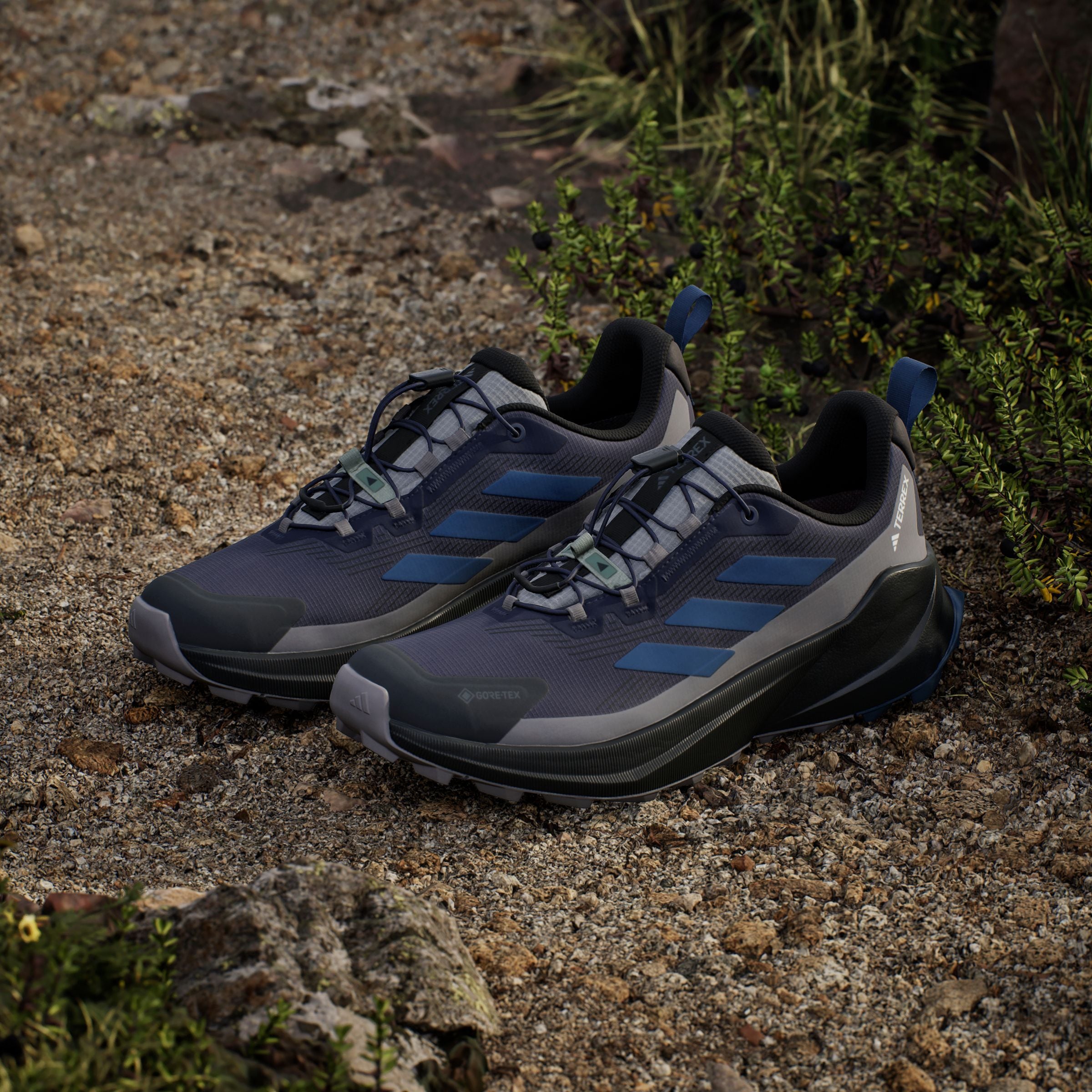 adidas TERREX Wanderschuh »TERREX TRAILMAKER 2 GORE-TEX SPEED LACE«, wasserdicht