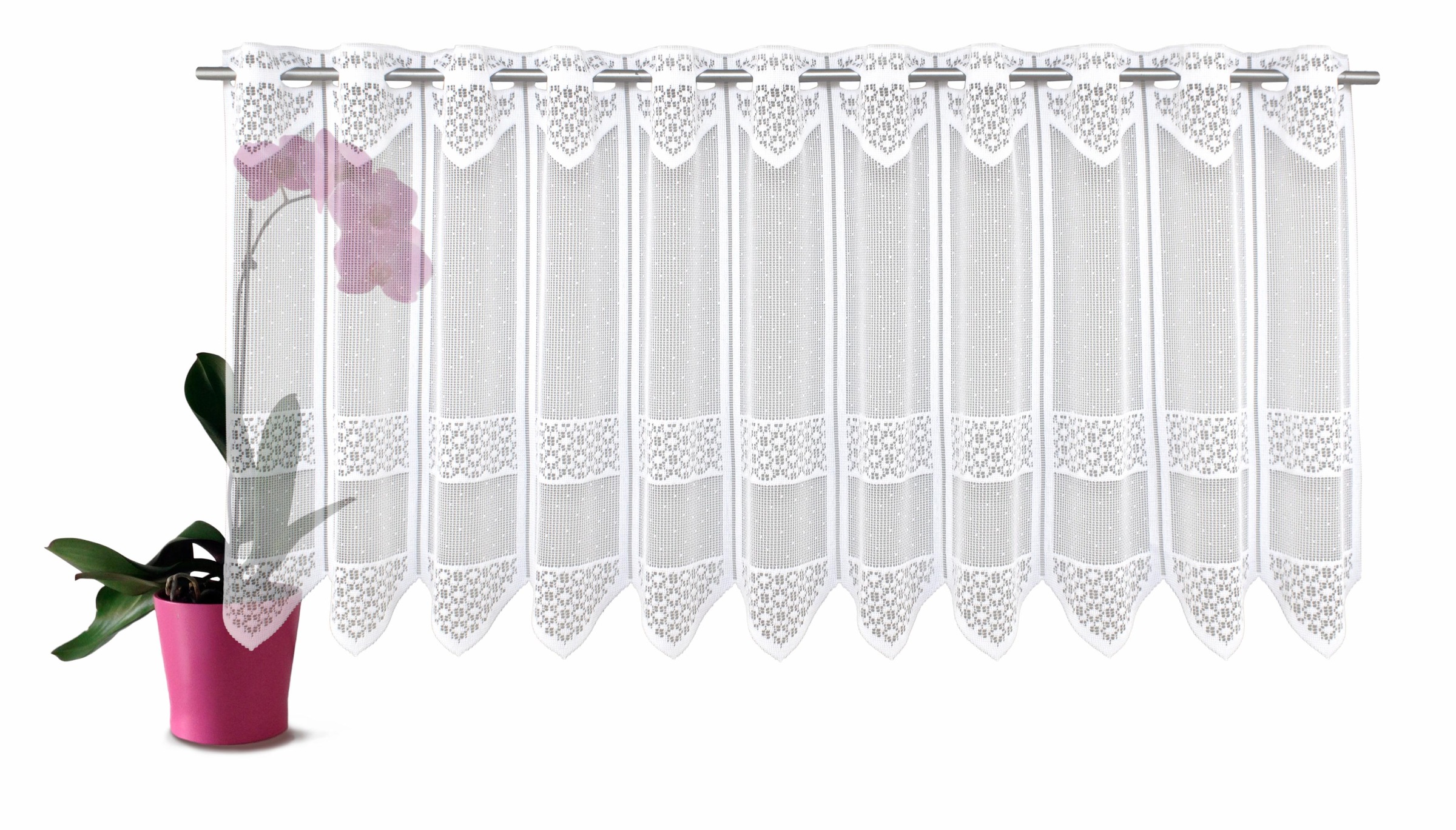 Image of VHG Scheibengardine nach Mass »Zelda«, (1 St.) bei Ackermann Versand Schweiz