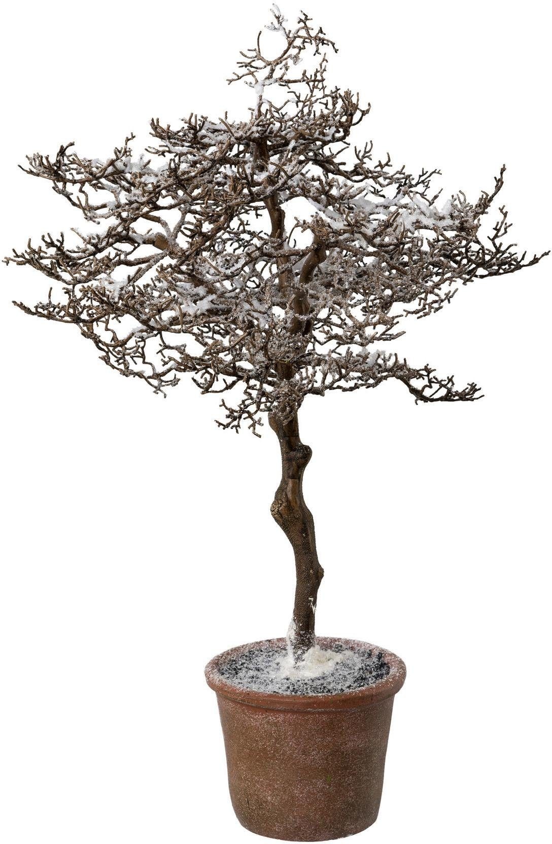 Image of Creativ deco Künstlicher Weihnachtsbaum, Hainbuche mit zauberhaftem Schnee bei Ackermann Versand Schweiz