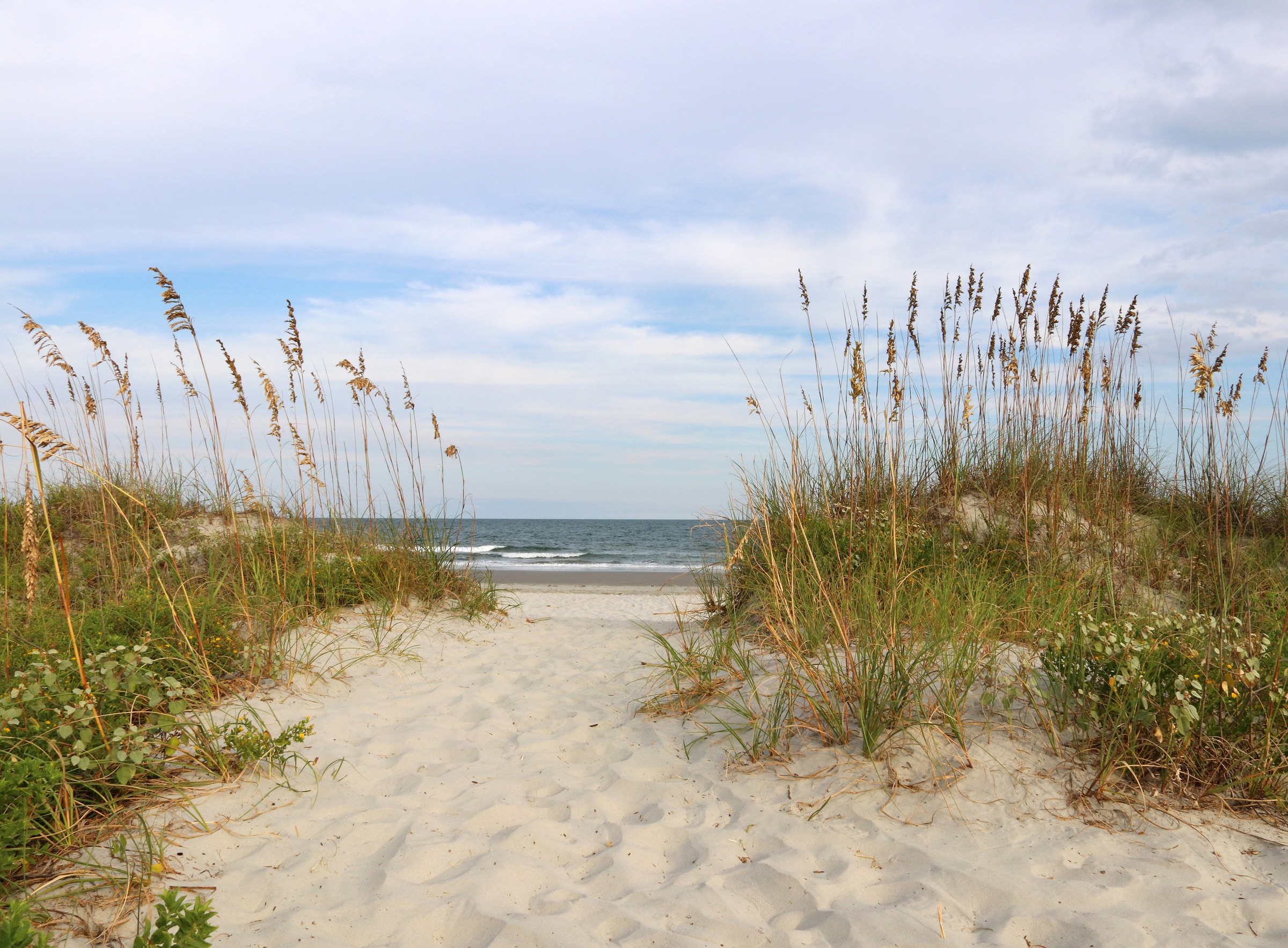 Image of Papermoon Fototapete "Dunes Huntington Beach" glatt