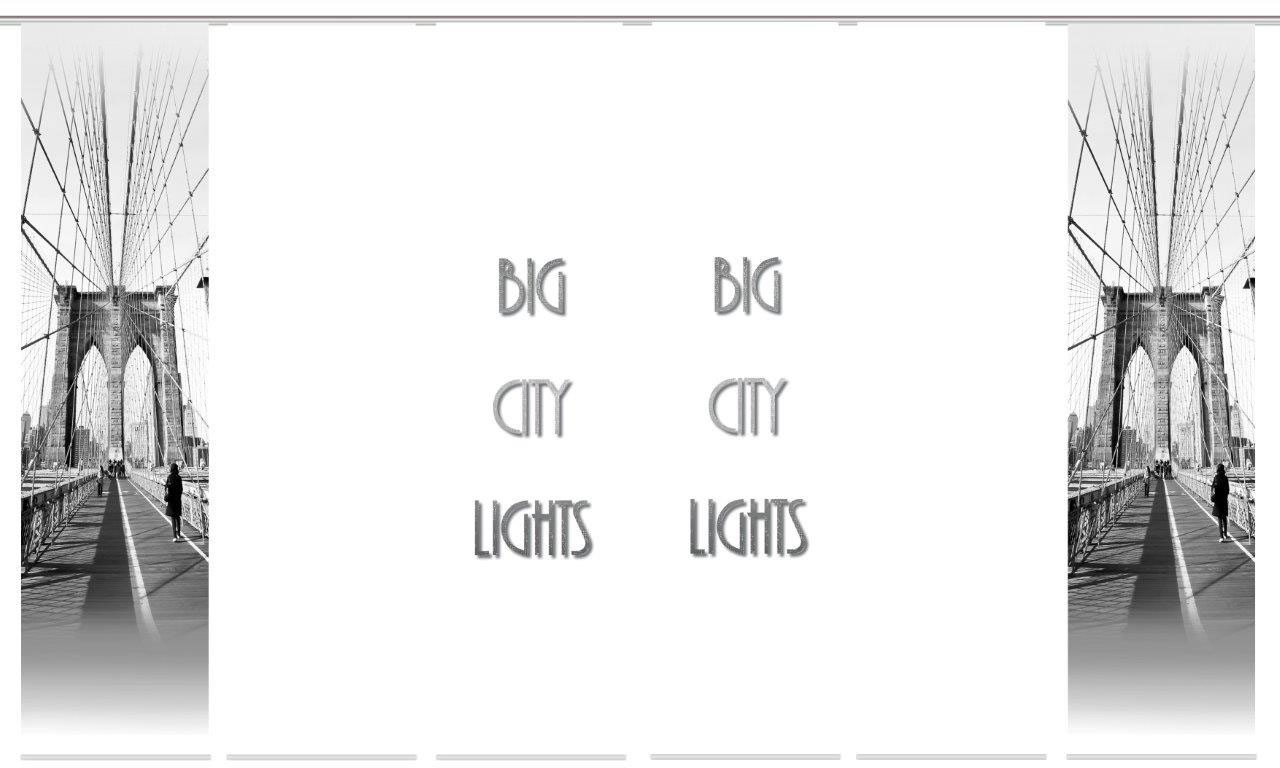 Image of HOME WOHNIDEEN Schiebegardine »BRIGO 6er SET«, (6 St.), Dekostoff-Seidenoptik, Digital bedruckt bei Ackermann Versand Schweiz