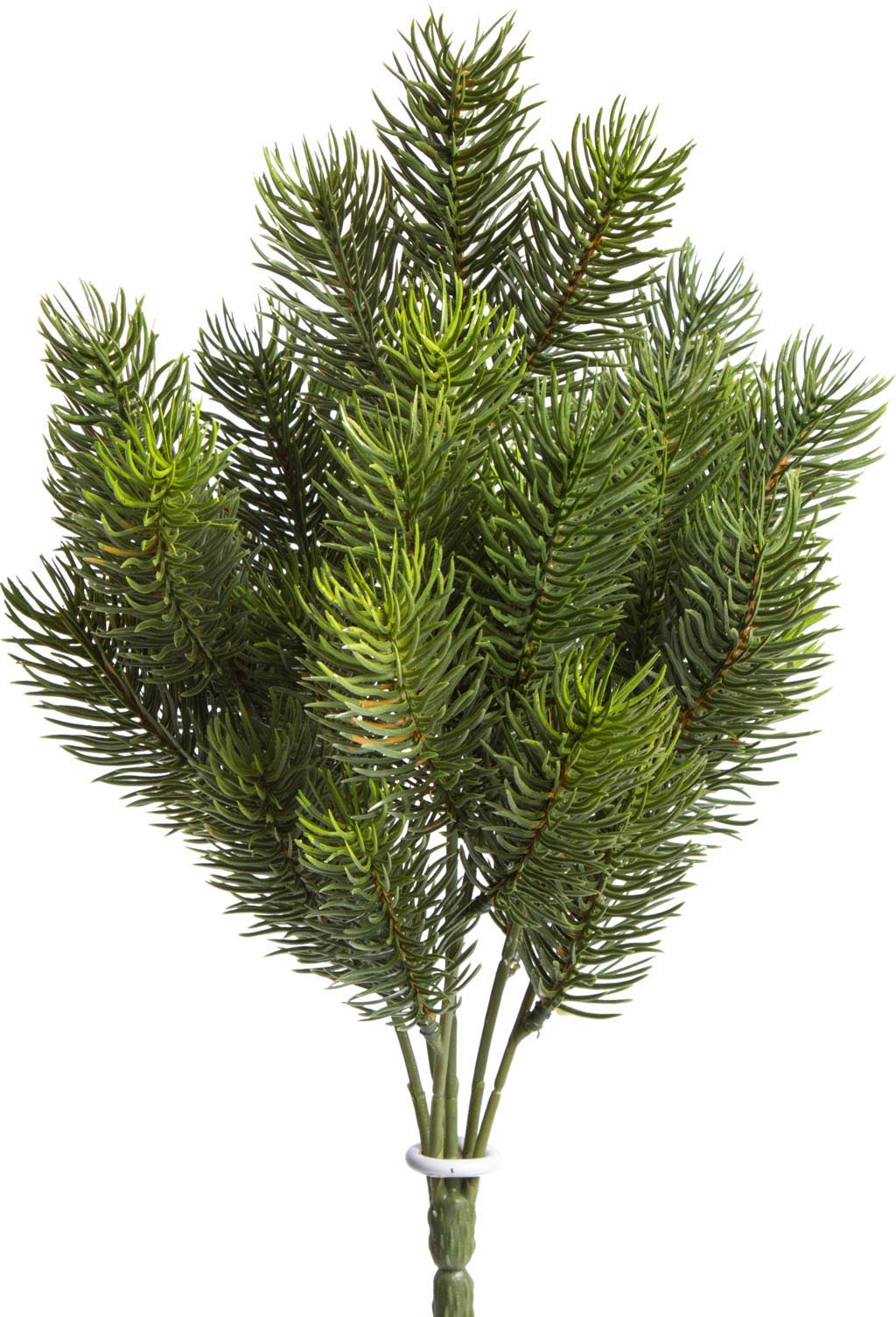 Image of Botanic-Haus Künstliche Zimmerpflanze »Tannenbusch«, (1 St.) bei Ackermann Versand Schweiz