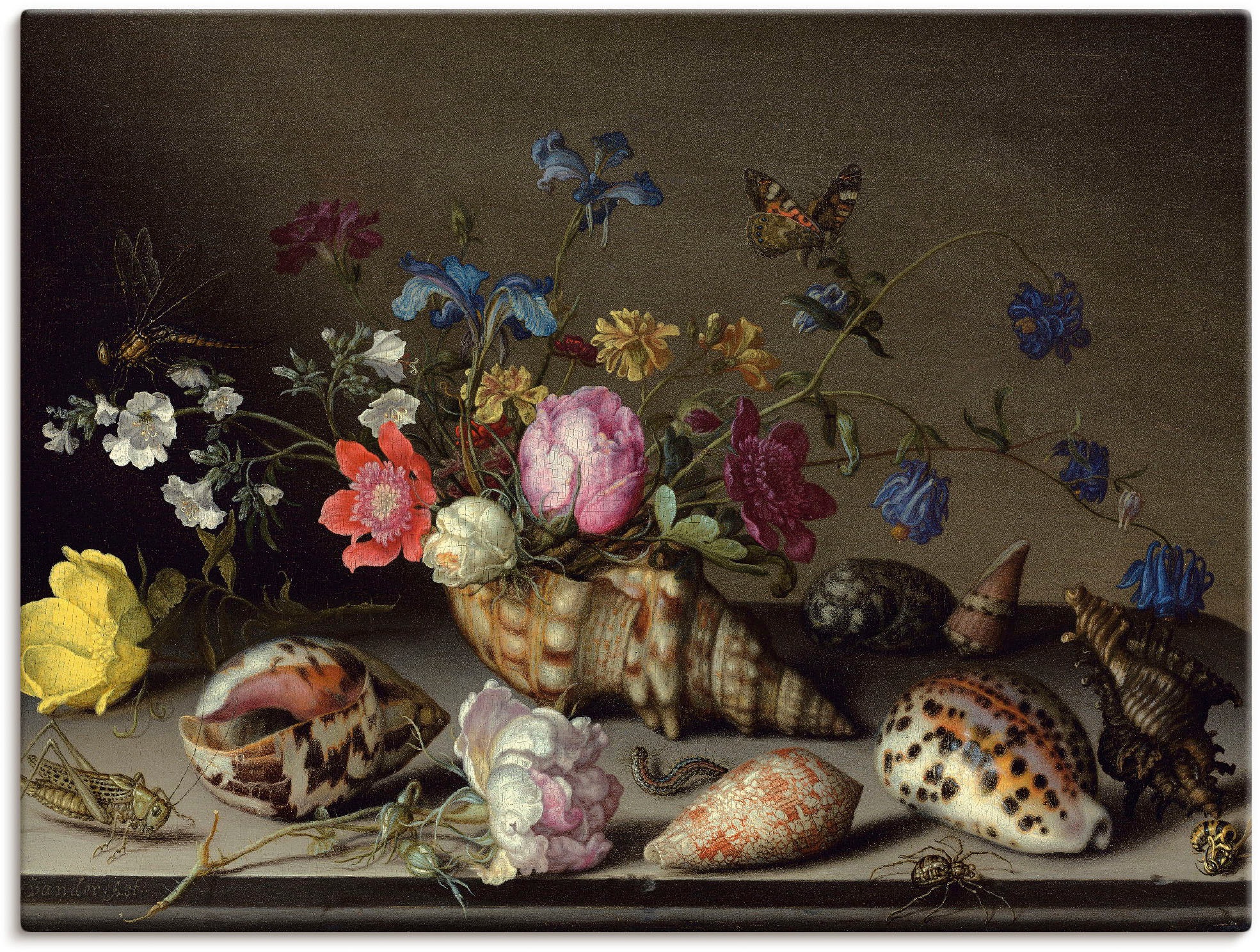 Image of Artland Wandbild »Blumen, Muscheln und Insekten«, Arrangements, (1 St.), in vielen Grössen & Produktarten -Leinwandbild, Poster, Wandaufkleber / Wandtattoo auch für Badezimmer geeignet bei Ackermann Versand Schweiz